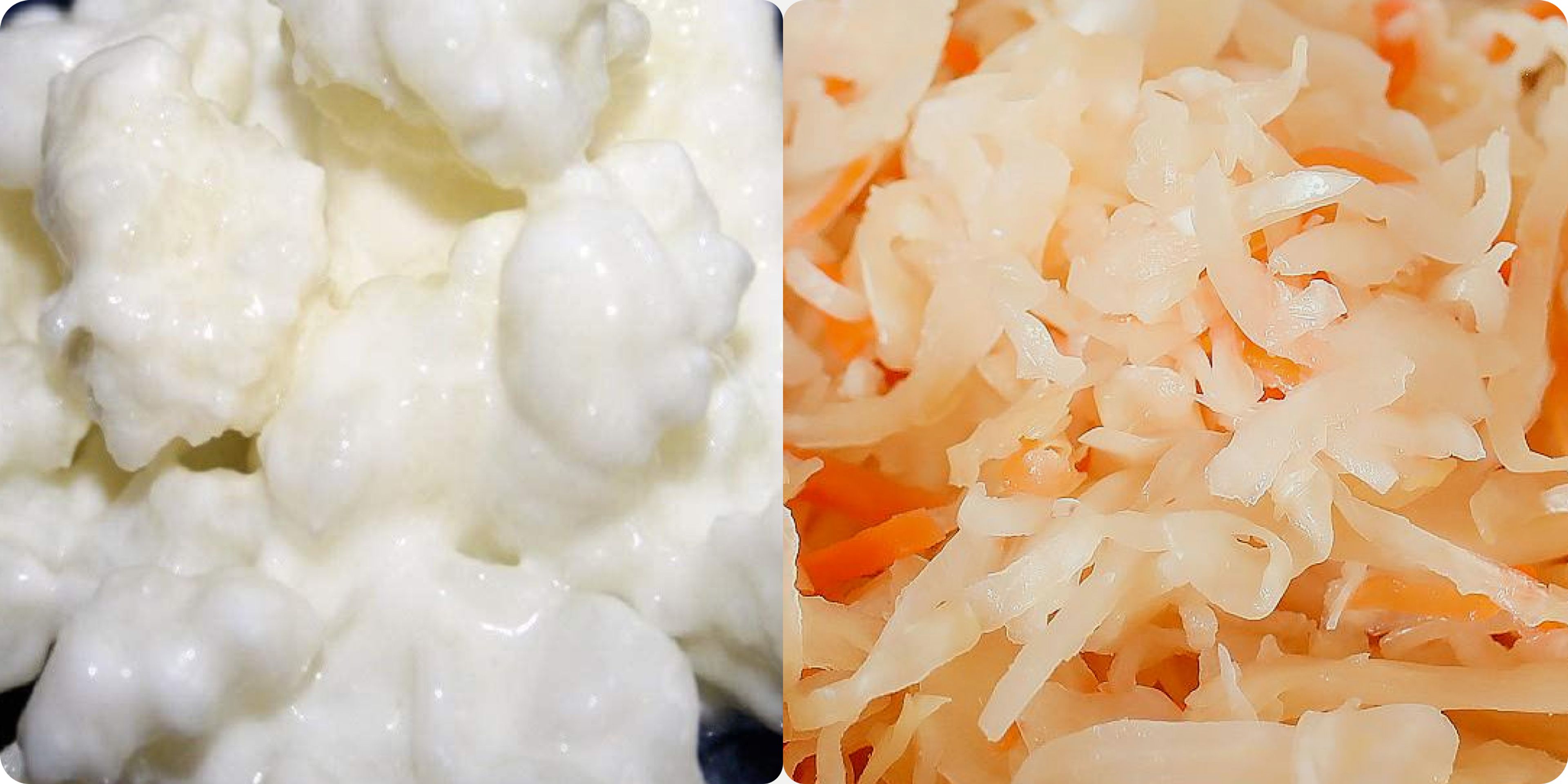 Kefir and chucrut