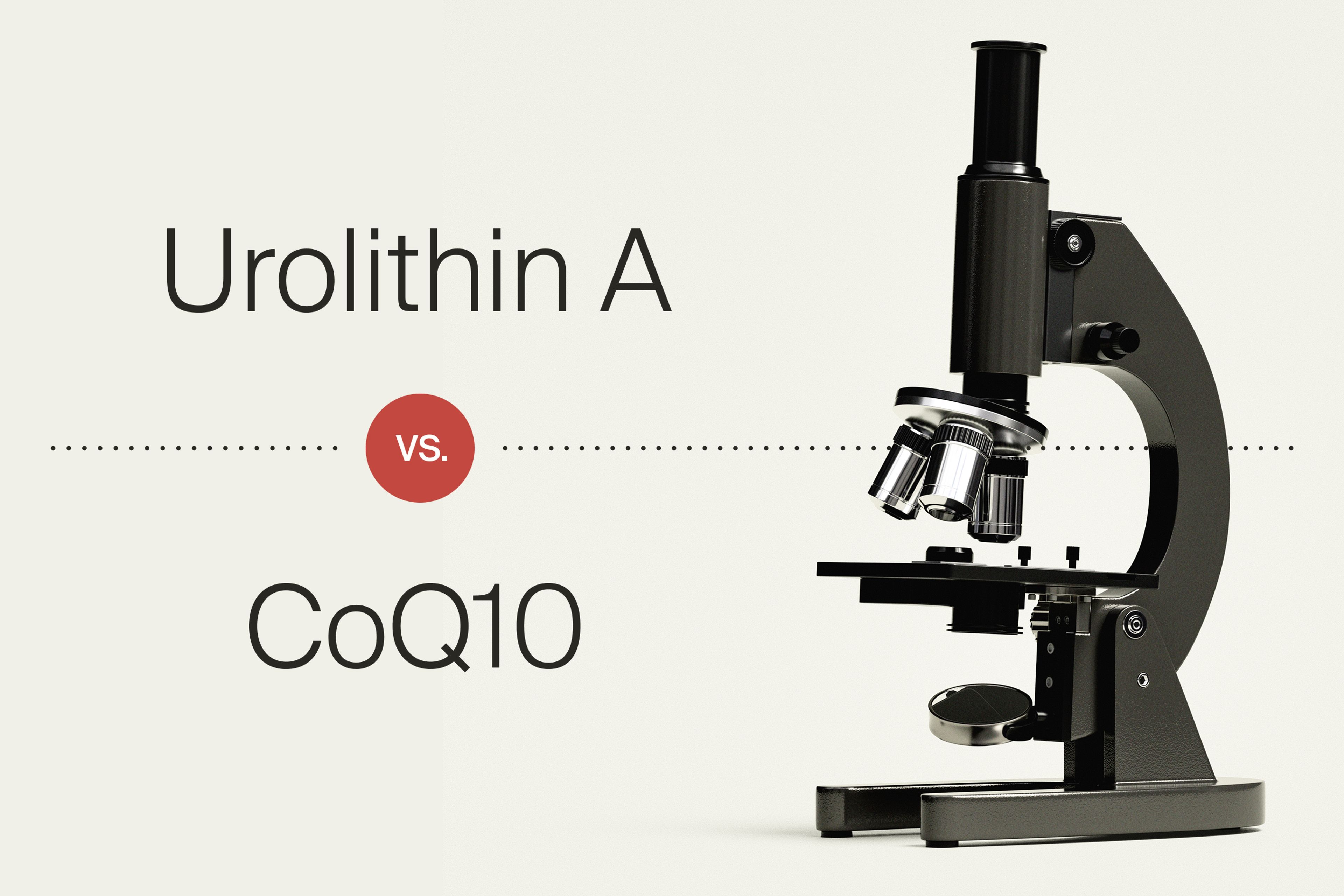 urolithin A mitopure vs CoQ10 breakdown