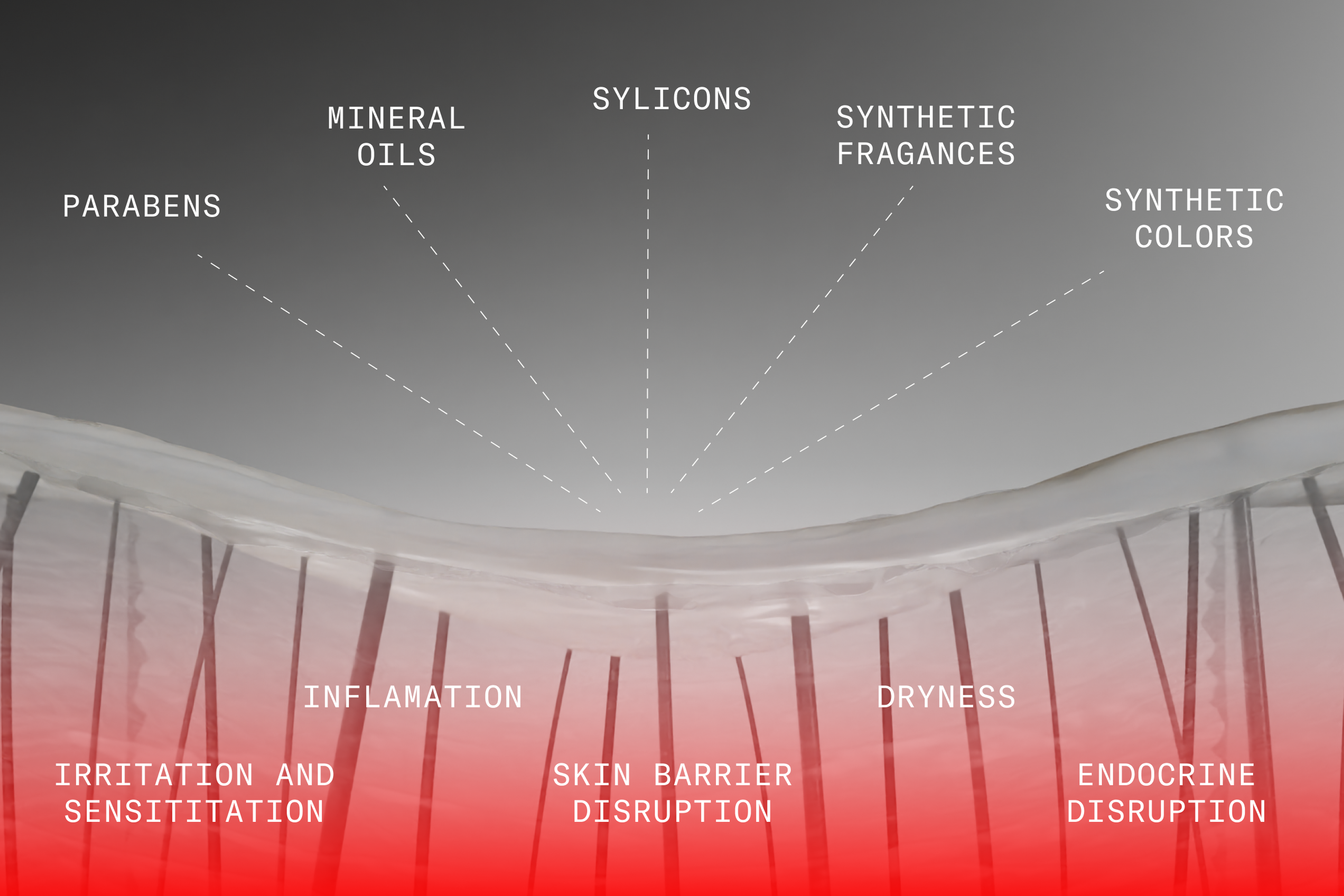 Toxic ingredients for the Skin