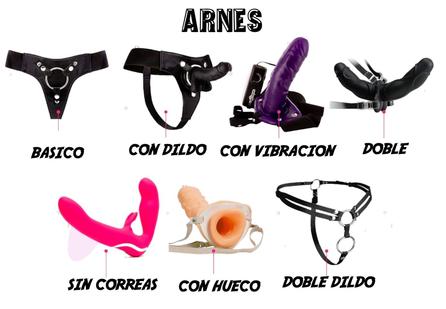 ARNÉS