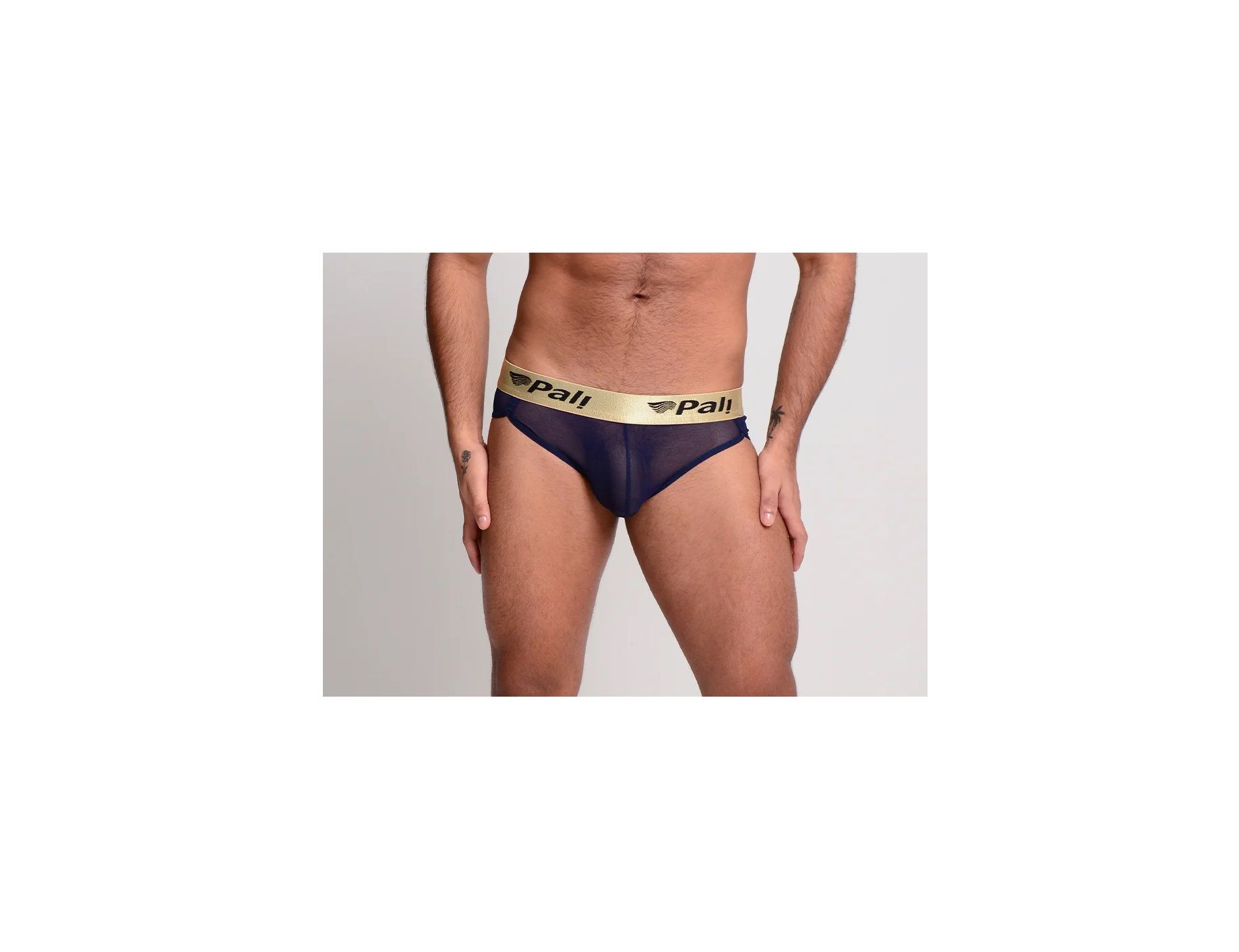 BRIEF TRANSPARENCIA PALI