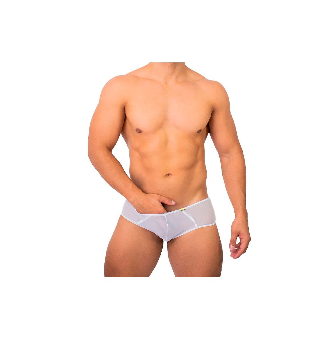 BRIEF CACHETERO TRANSPARENCIA PALI