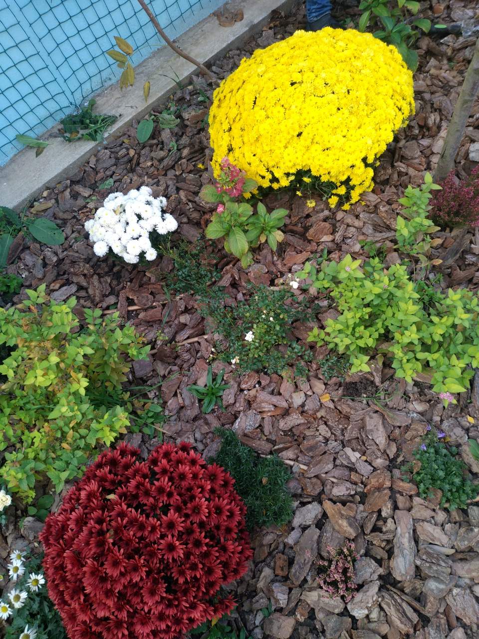 Creating Flower Beds in Sunny Beach