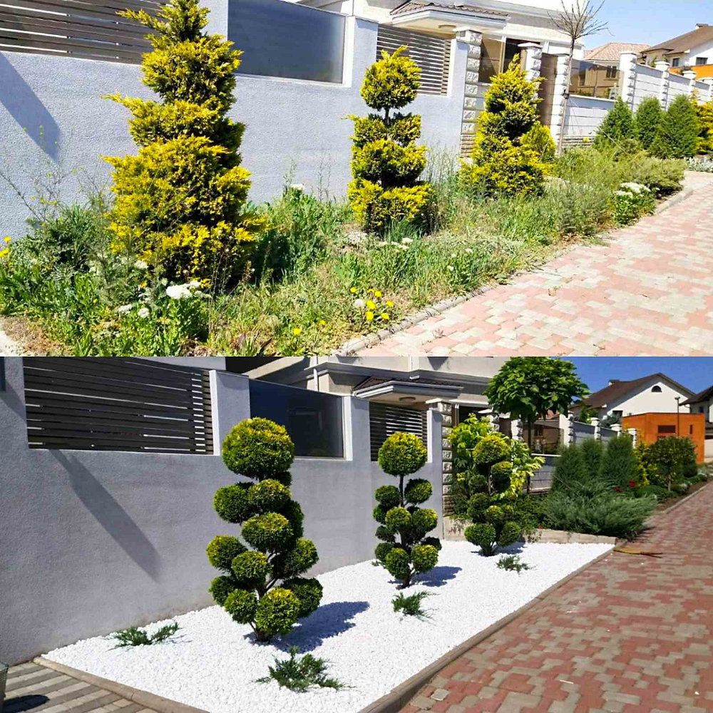 Topiary Pruning of Plants