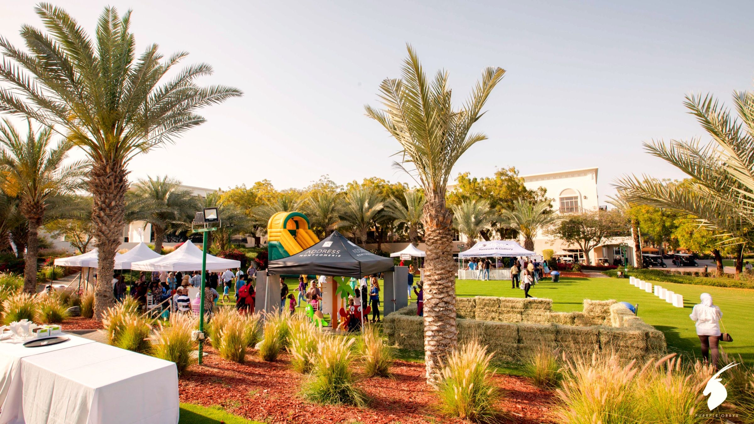 Outdoor garden venue with palm trees and tents set up for an event