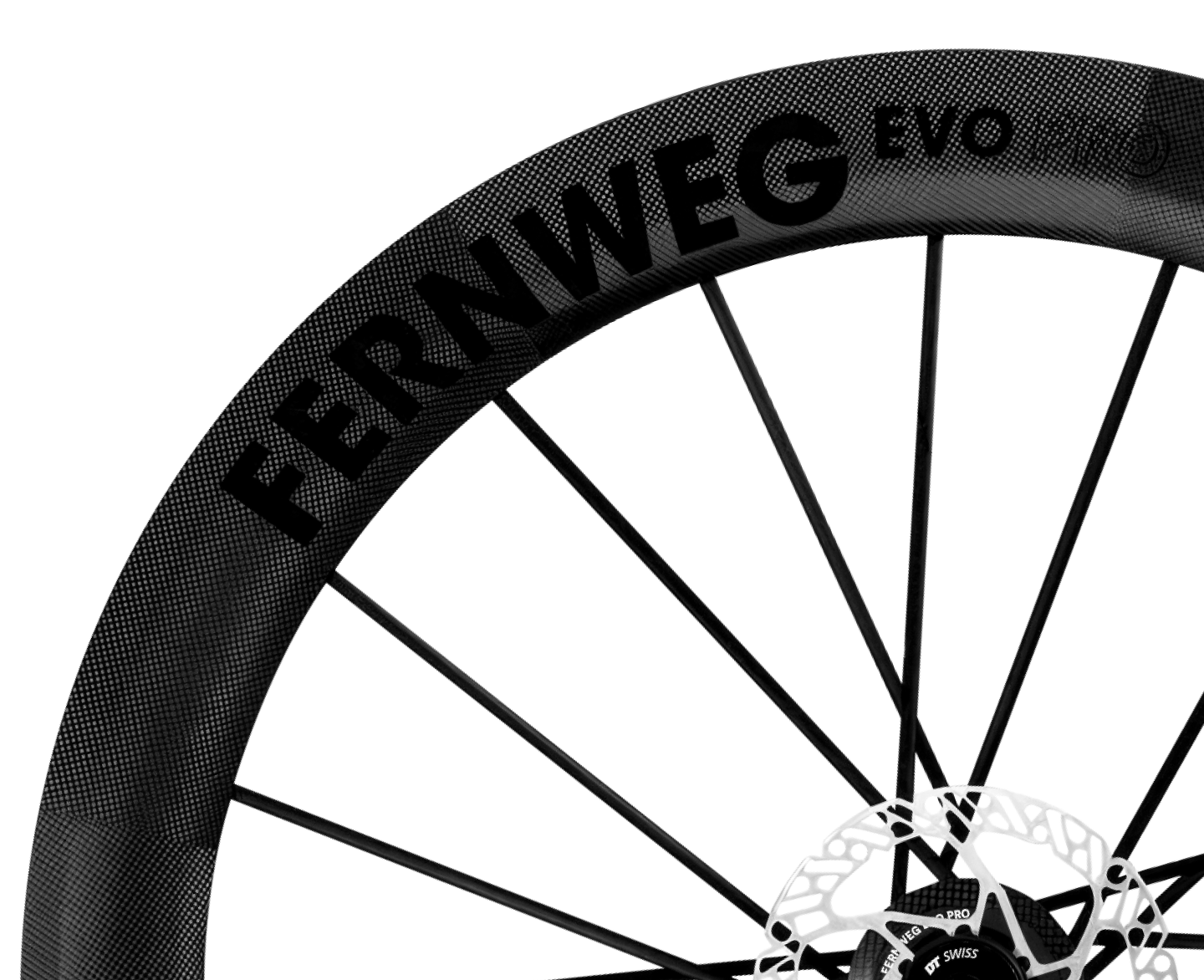 パーツ Lightweight Fernweg evo Schwarz Edition Lightweight Fernweg EVO Pro 63 Disc Wheels – Above Category