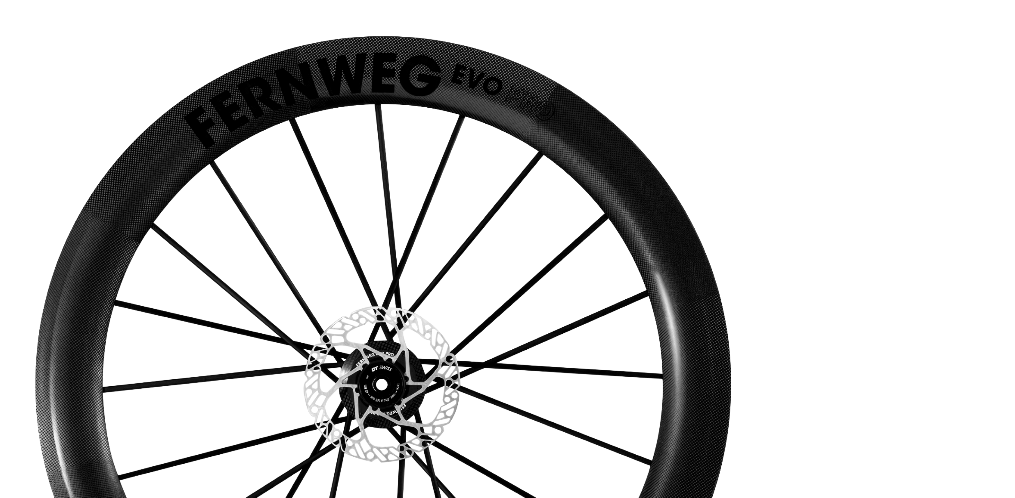 lightweight fernweg evo ホイール　ライトウェイト lightweight fernweg evo ホイールライトウェイト