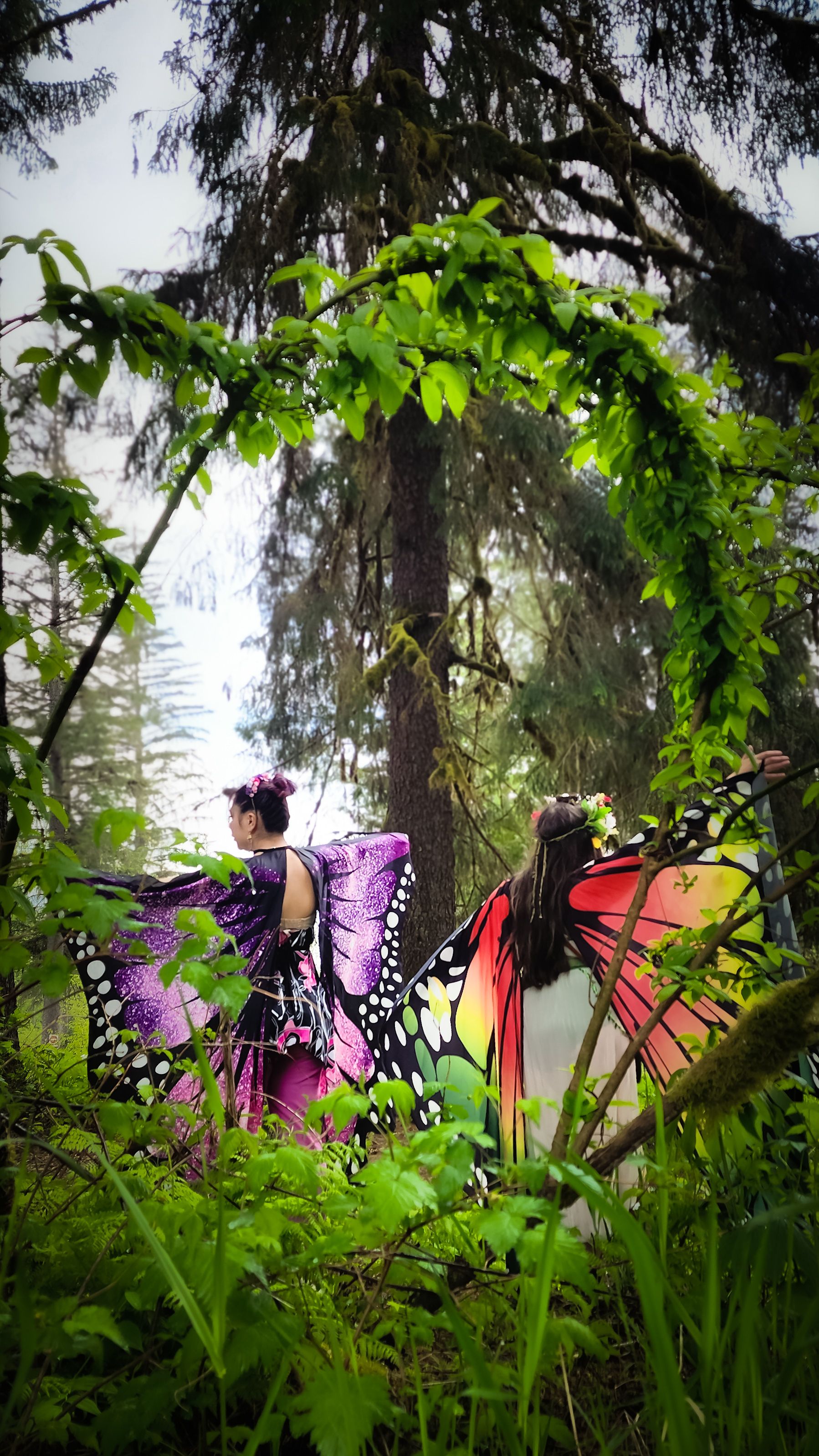 Two people in butterfly wings framed by a natural arch of green branches in the woods.
