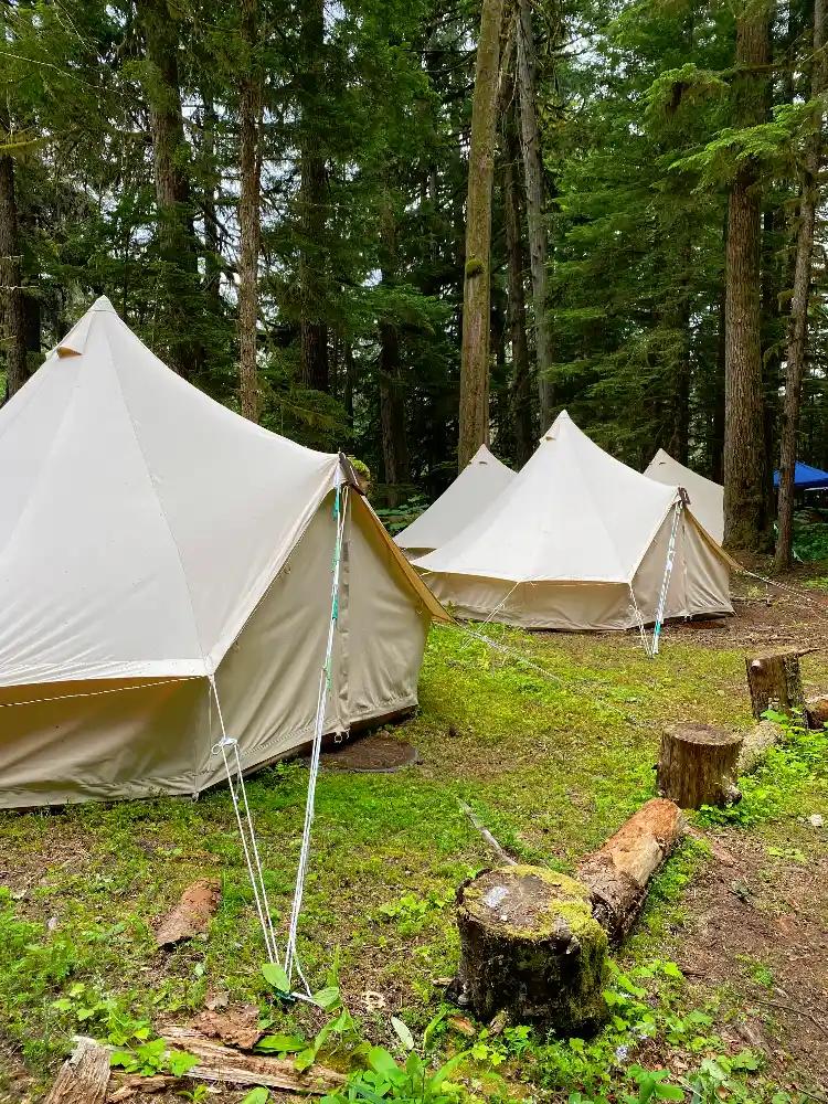 Four white canvas bell tents set up at ValhallaFest