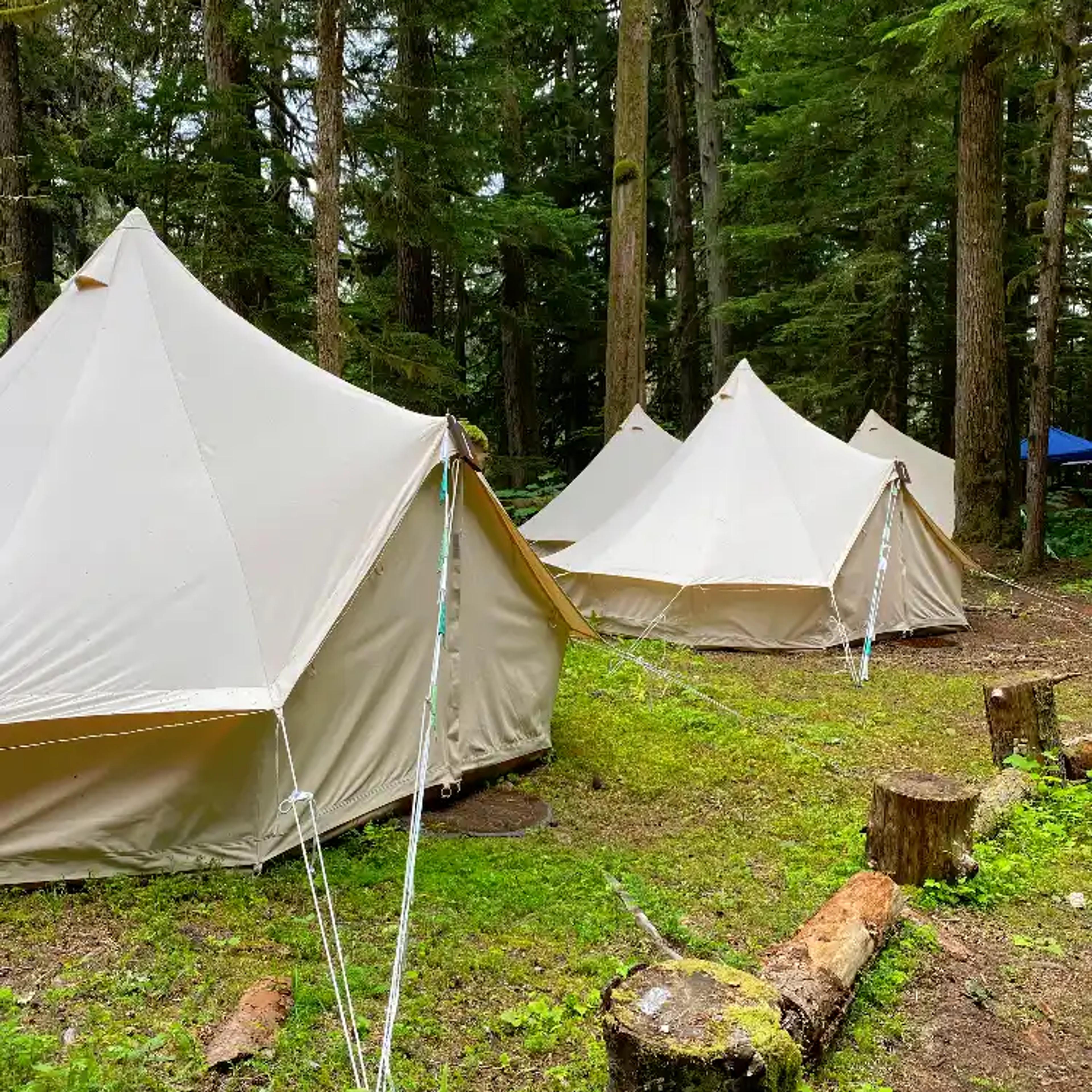 Four white canvas bell tents set up at ValhallaFest