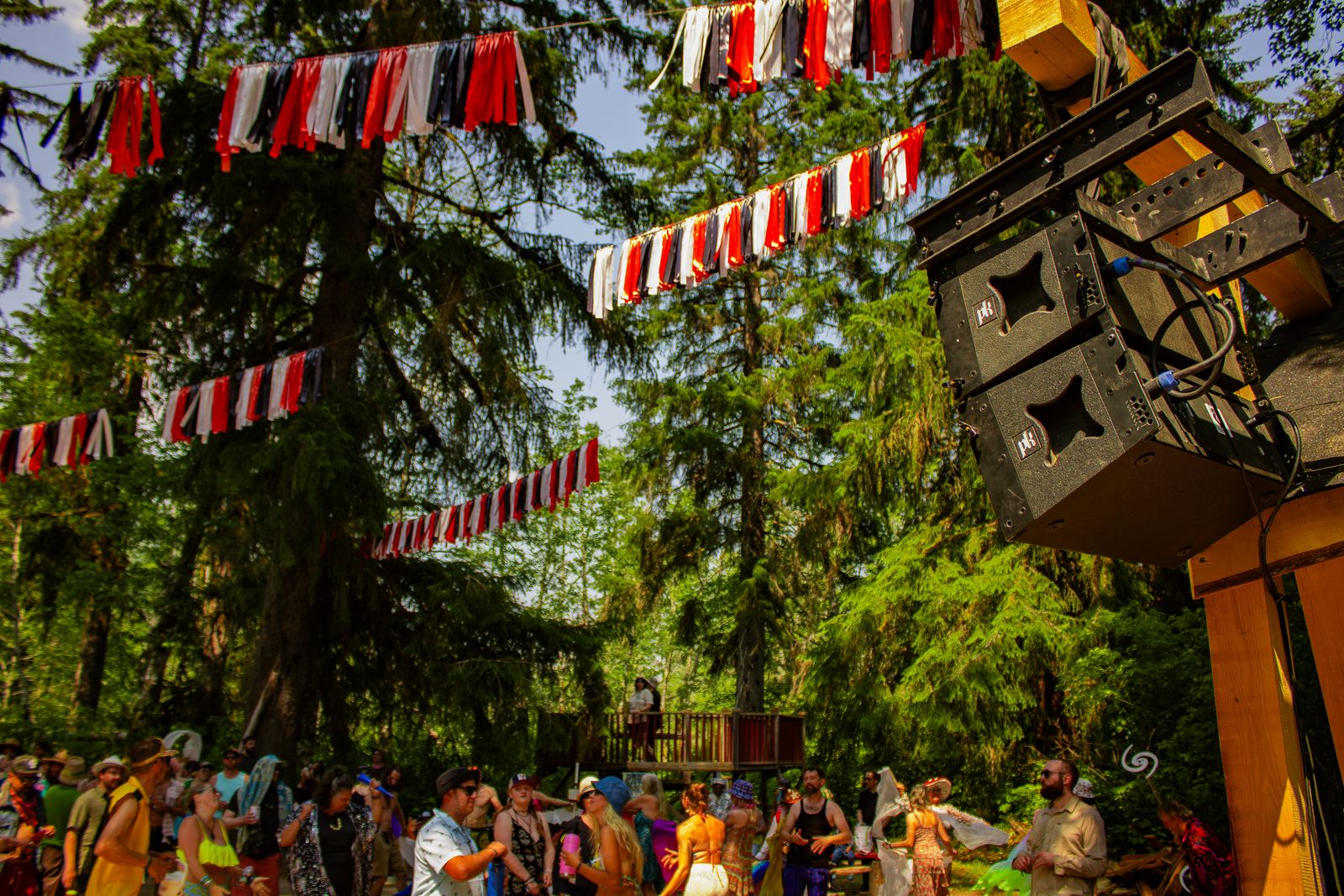 Festival crowd dancing under colorful bunting