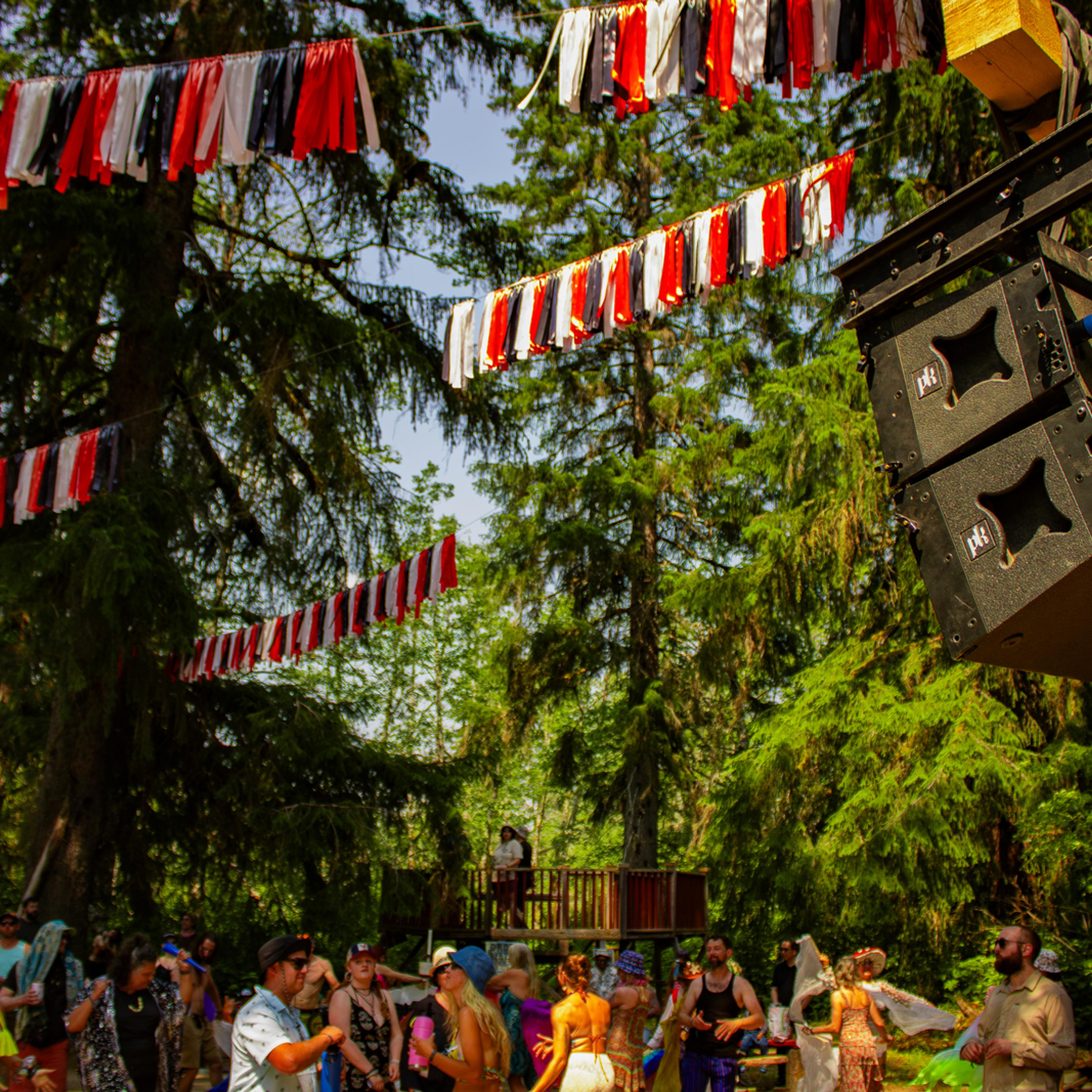 Festival crowd dancing under colorful bunting