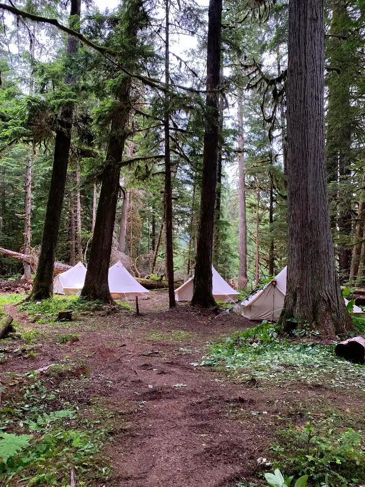 Four white canvas bell tents set up at ValhallaFest