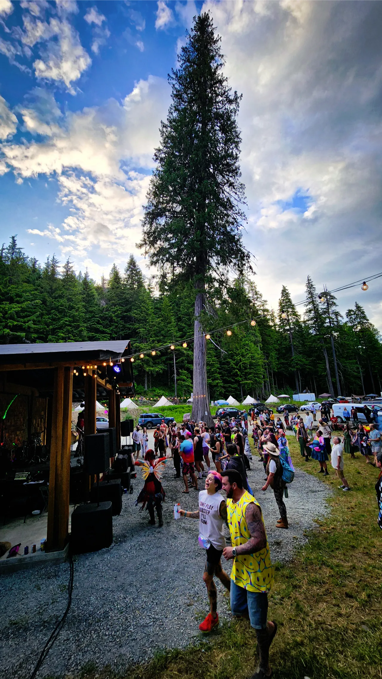 Festival crowd gathering near AgeHa stage under towering spruce and string lights.