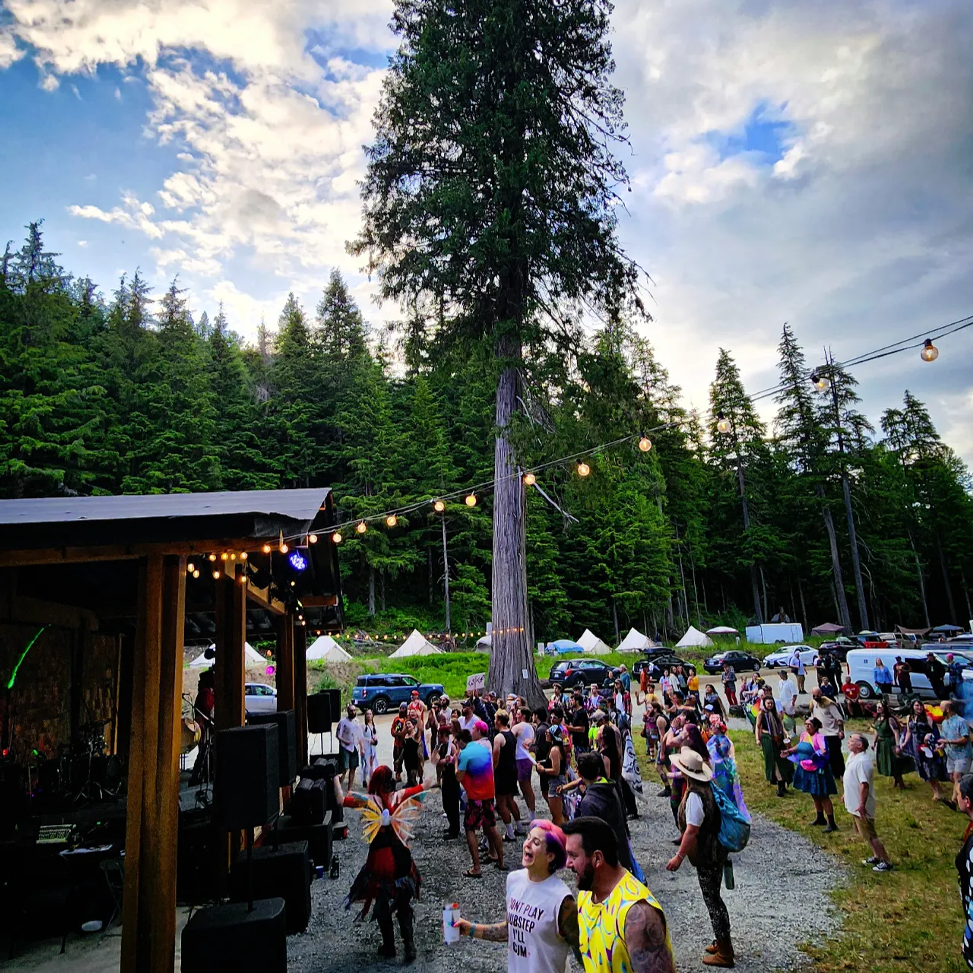 Festival crowd gathering near AgeHa stage under towering spruce and string lights.