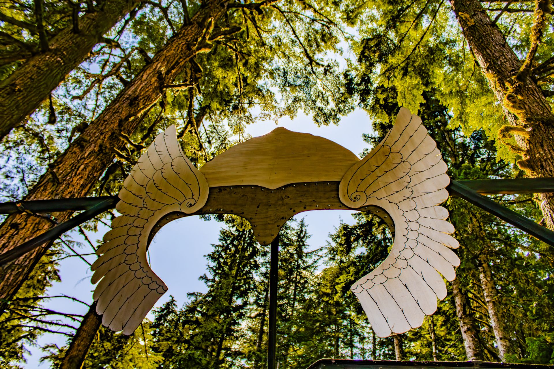 Looking up through towering trees at a large wooden winged sculpture mounted on the festival stage.