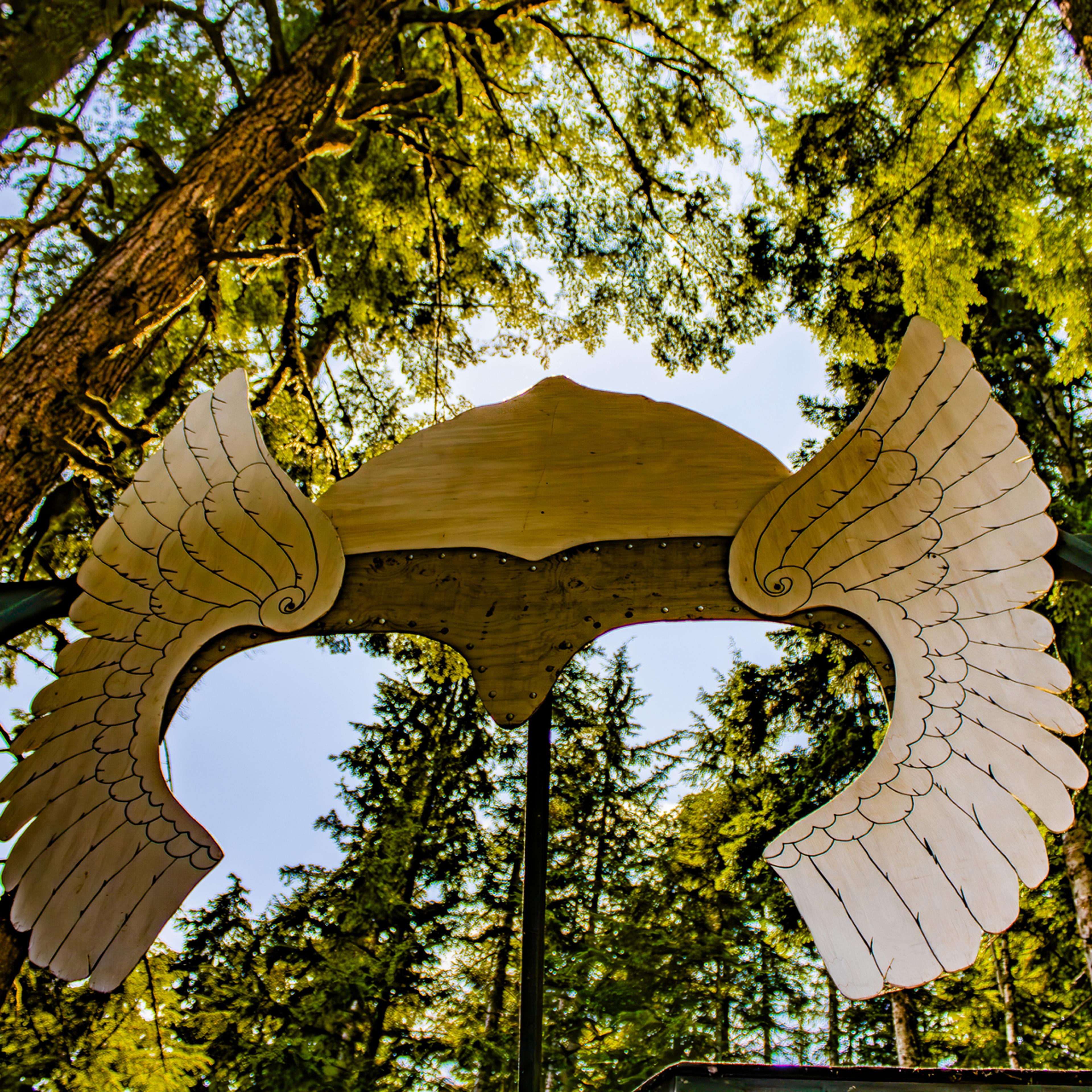 Looking up through towering trees at a large wooden winged sculpture mounted on the festival stage.