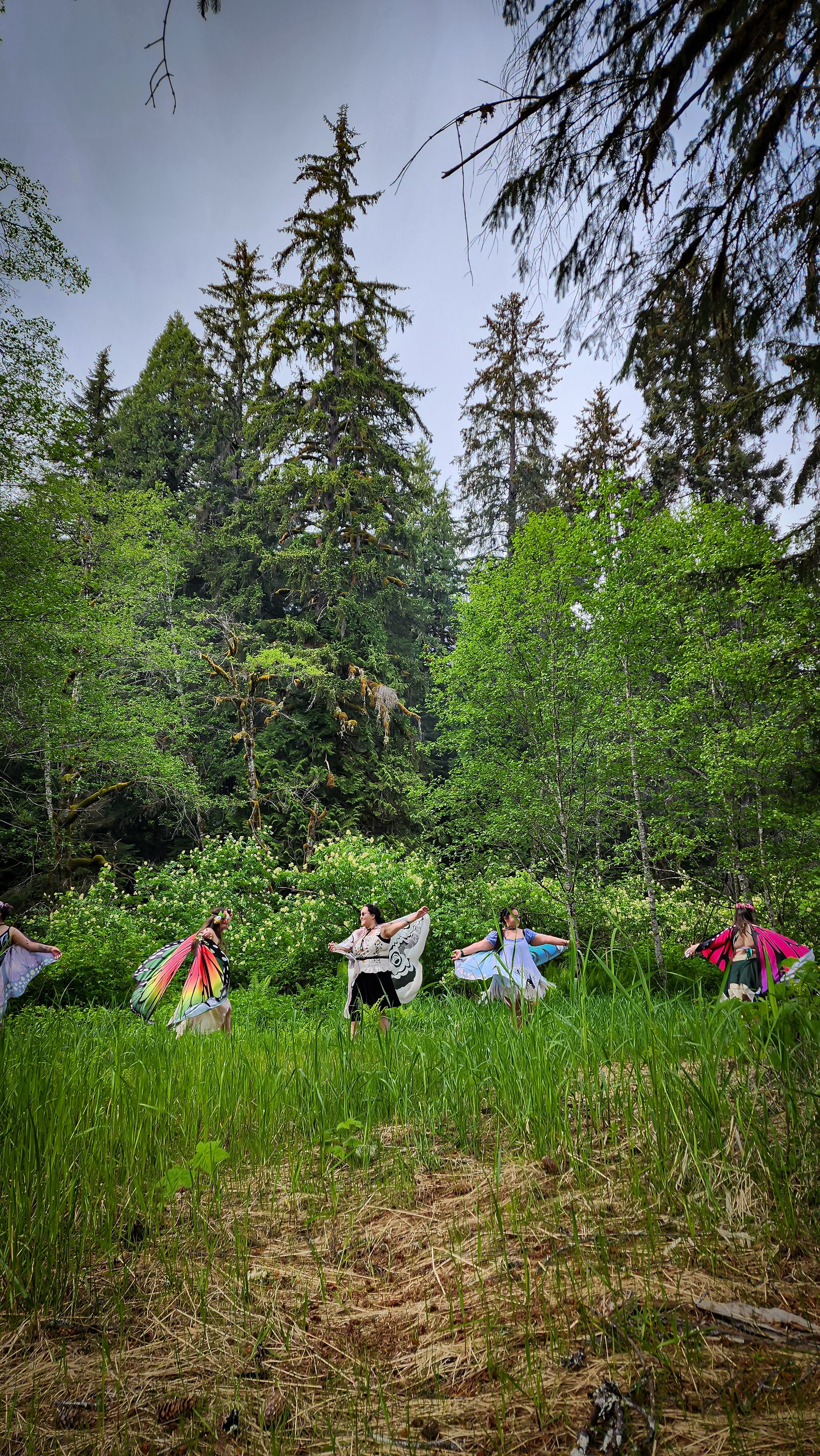 Five people in colorful butterfly wings standing in a line in a grassy forest clearing.