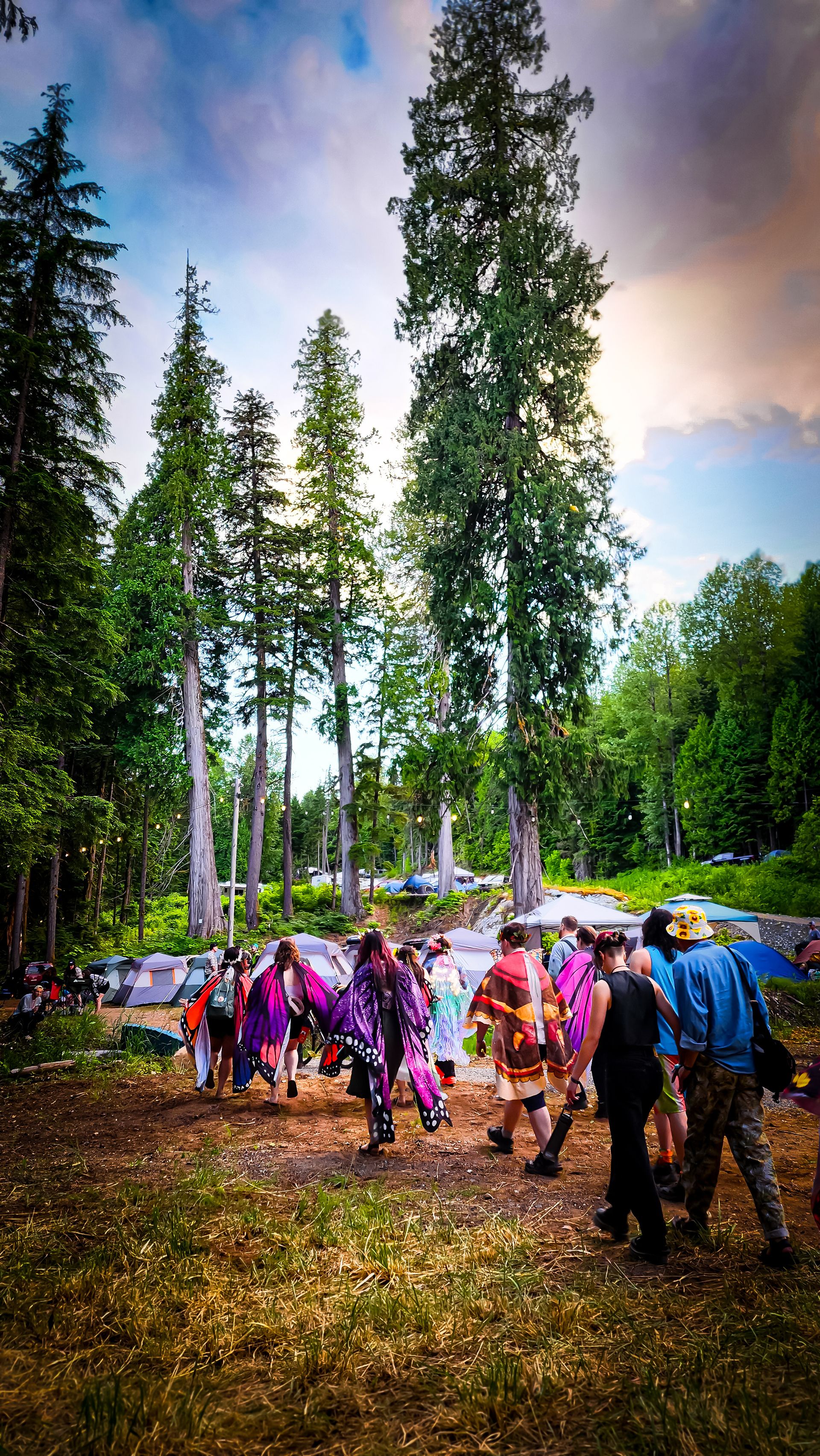 People wearing butterfly wings walking toward a campsite in a tall evergreen forest.