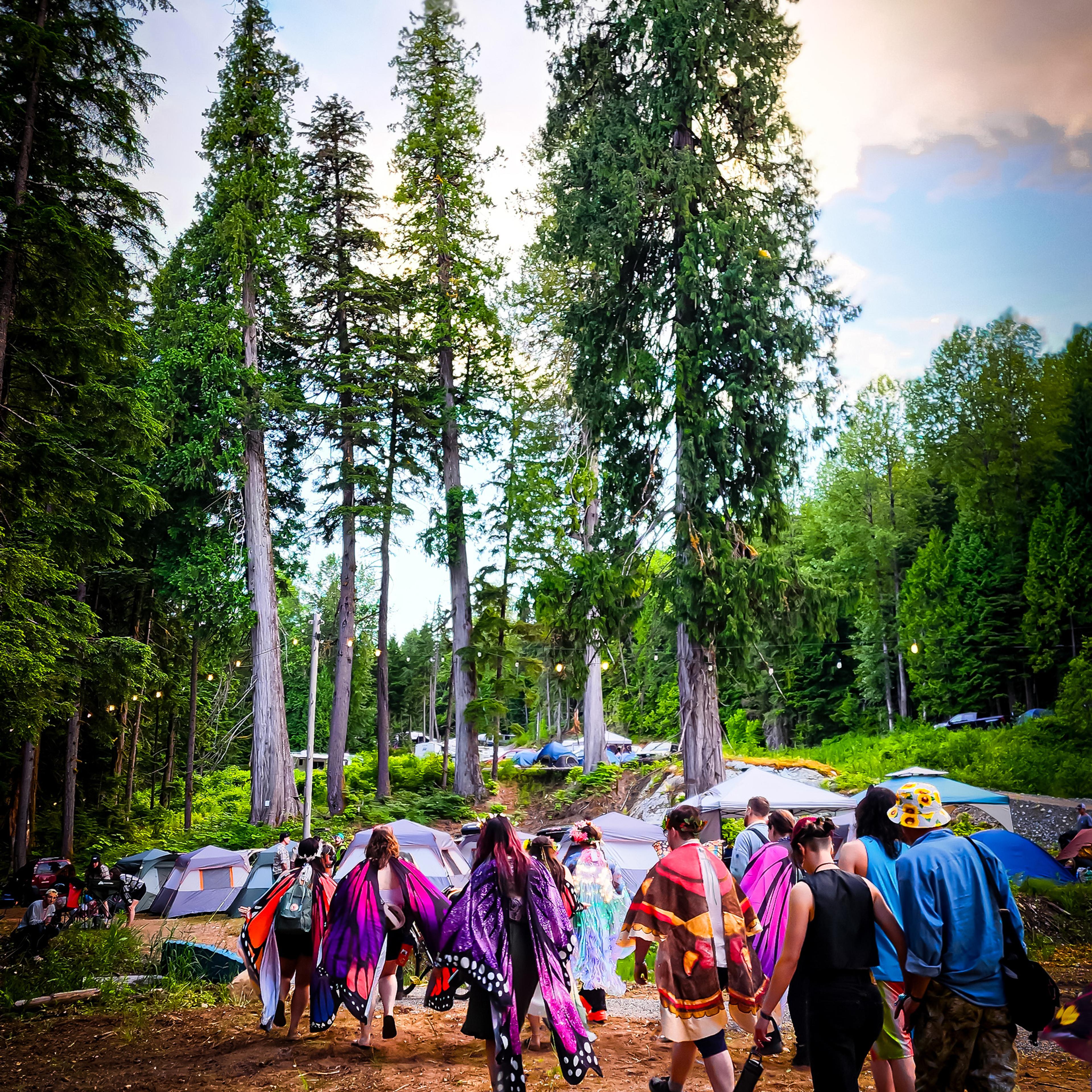 People wearing butterfly wings walking toward a campsite in a tall evergreen forest.