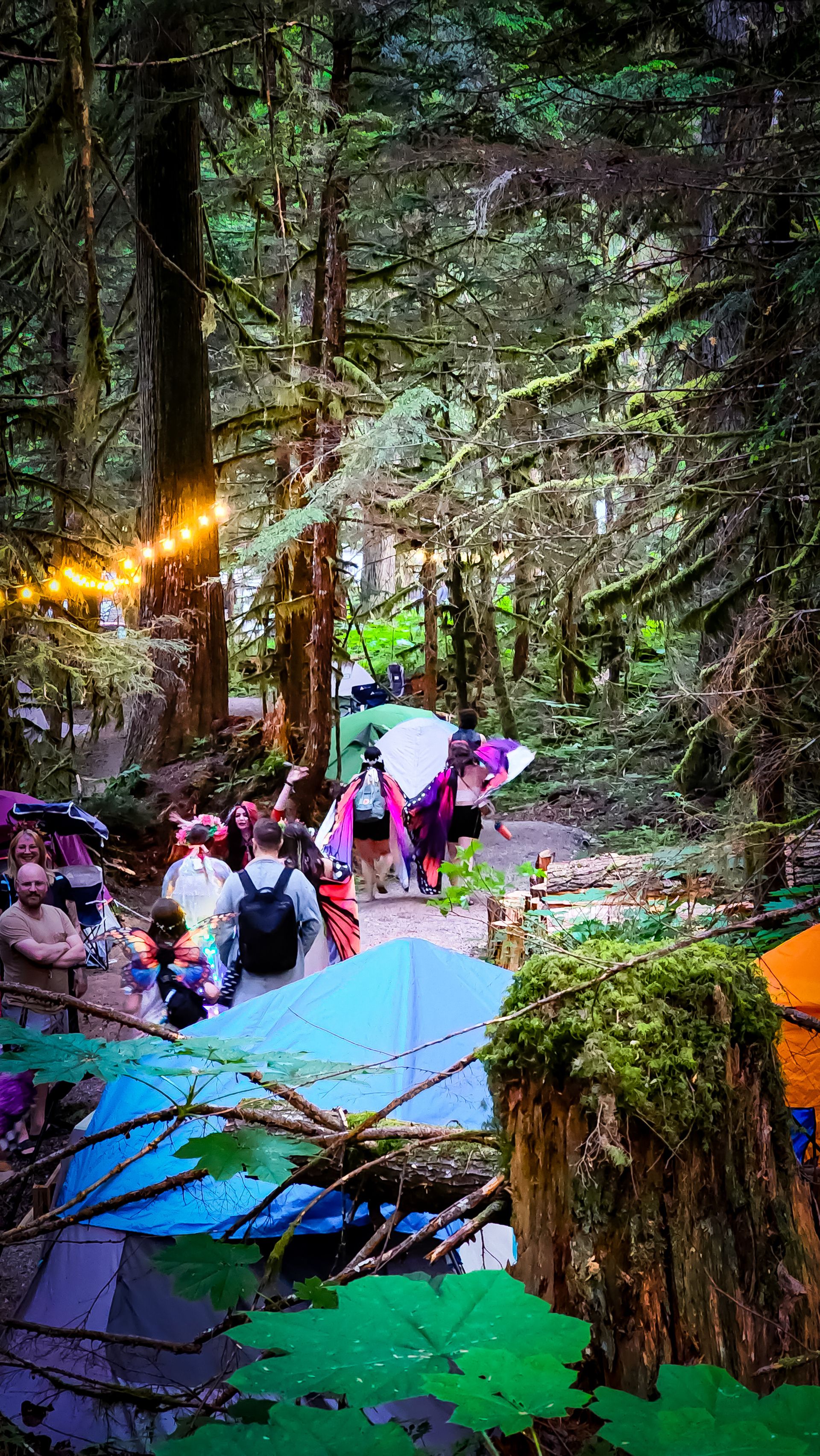 A group in butterfly wings and festival gear walking through a dense, mossy forest trail lined with tents.