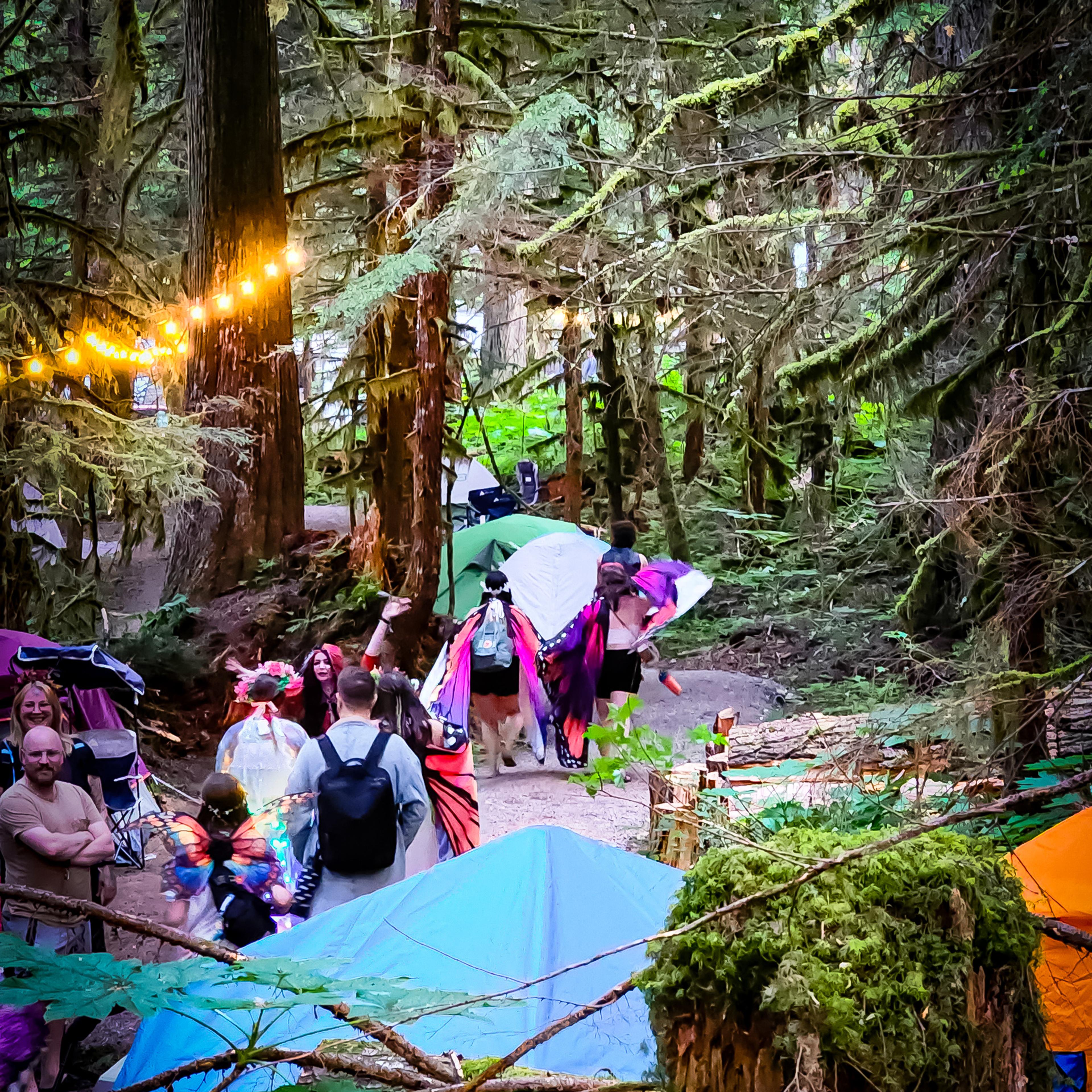 A group in butterfly wings and festival gear walking through a dense, mossy forest trail lined with tents.
