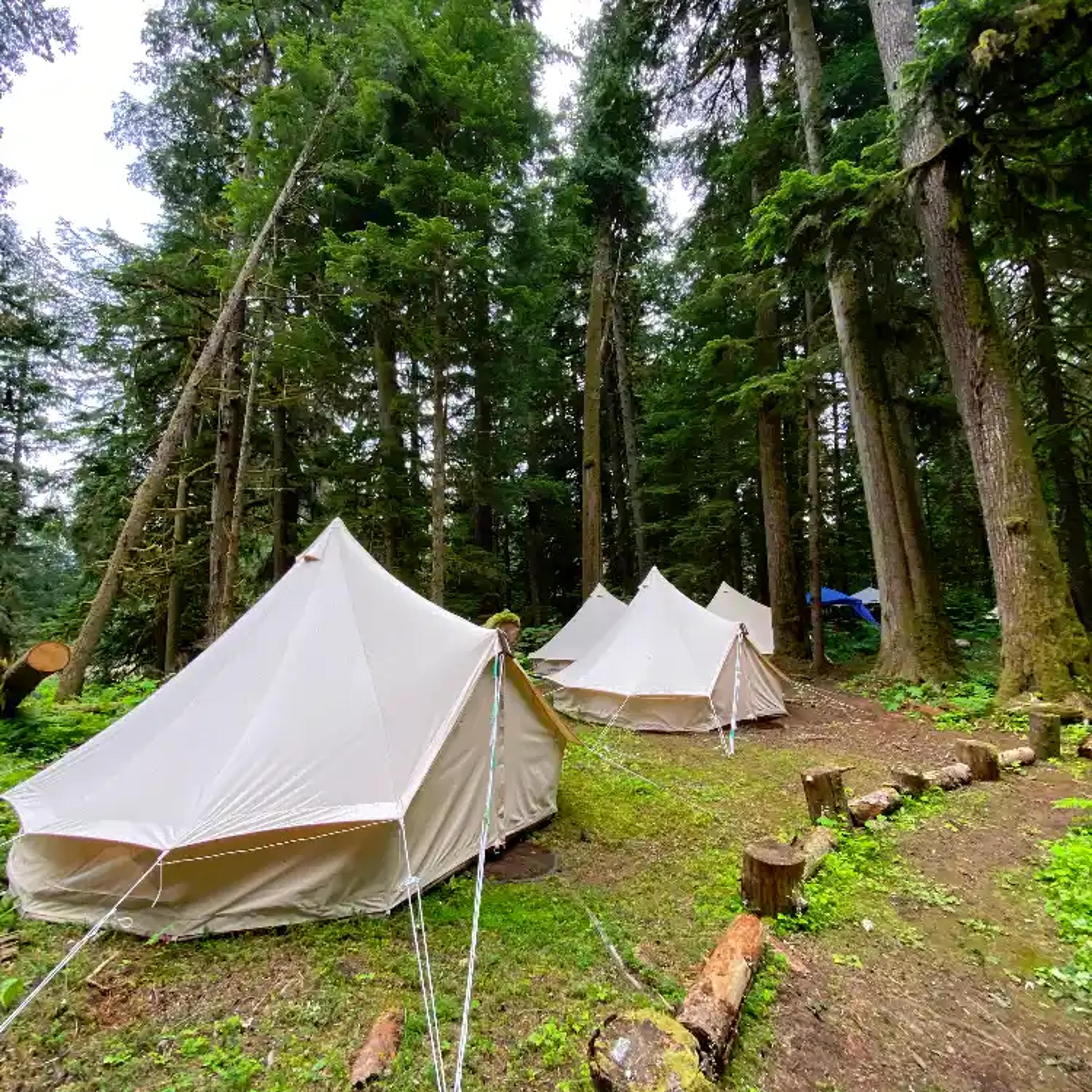 Four white canvas bell tents set up at ValhallaFest
