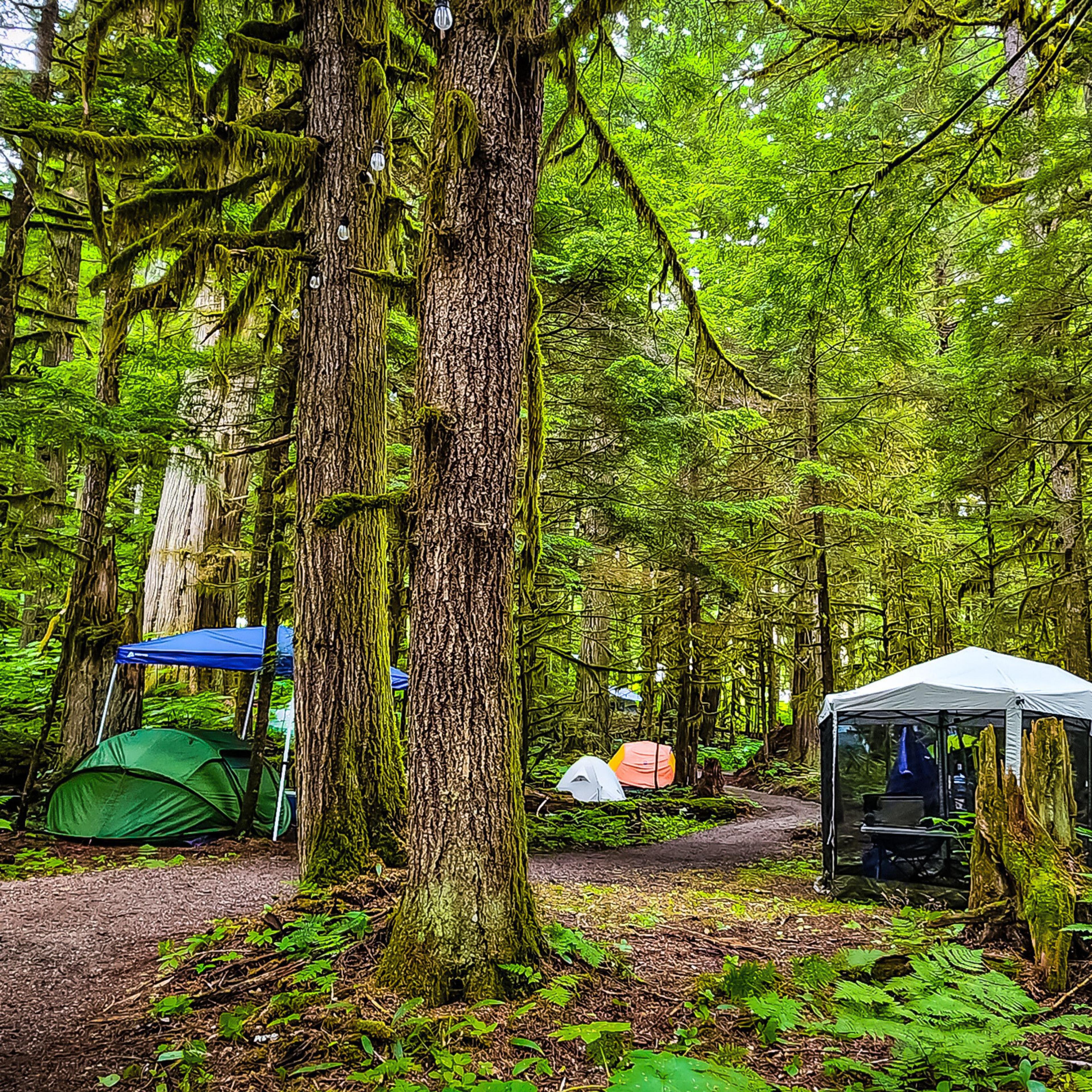 ValhallaFest 2025 campground