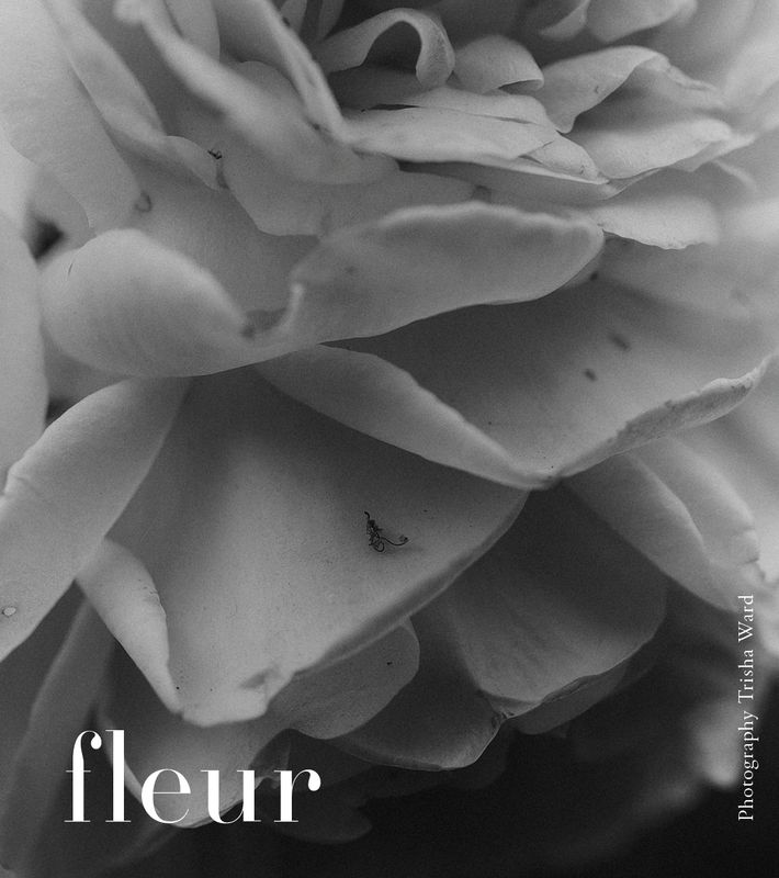 Fleur ~ 1