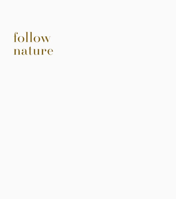 follow Nature ~ brown