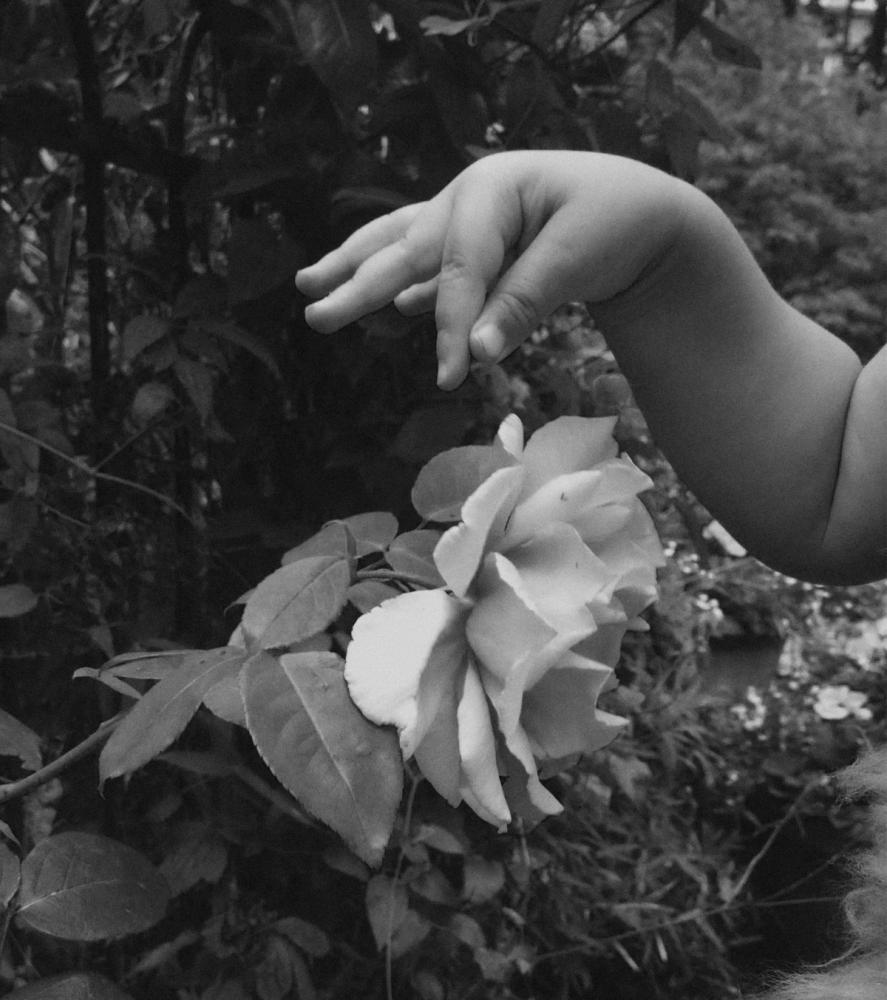 La Beauté du Geste. Photography by Trisha Ward.