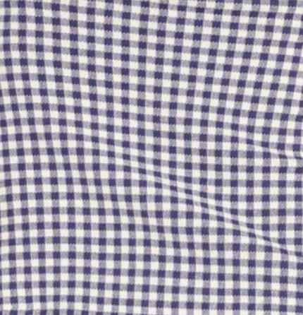 Swatch color NAVY GINGHAM