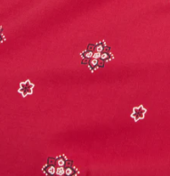 Swatch color FLARE BANDANA PRINT