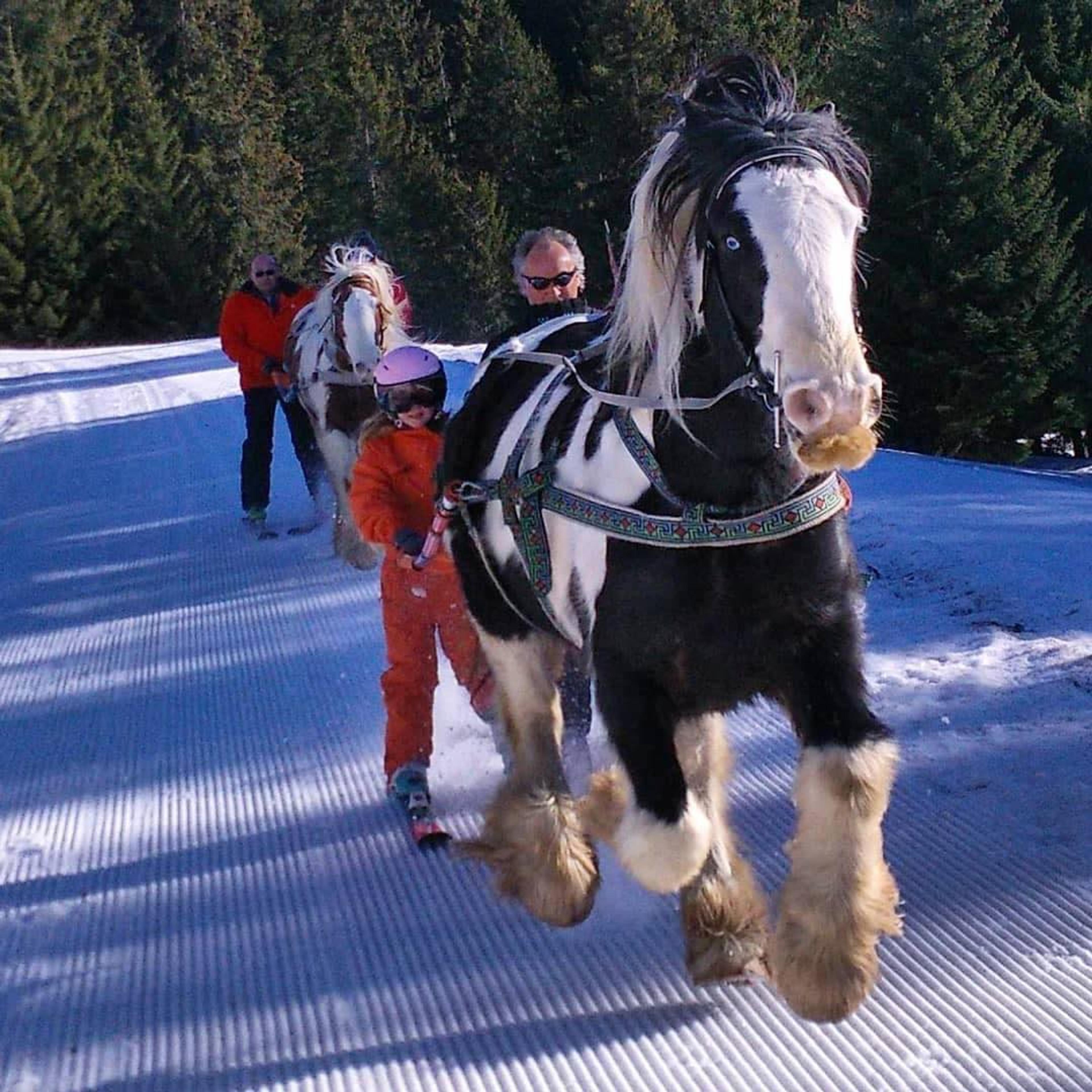 SKIJOERING AVEC GUIDE