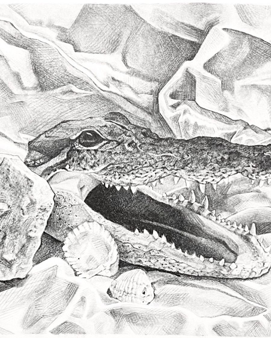 Graphite