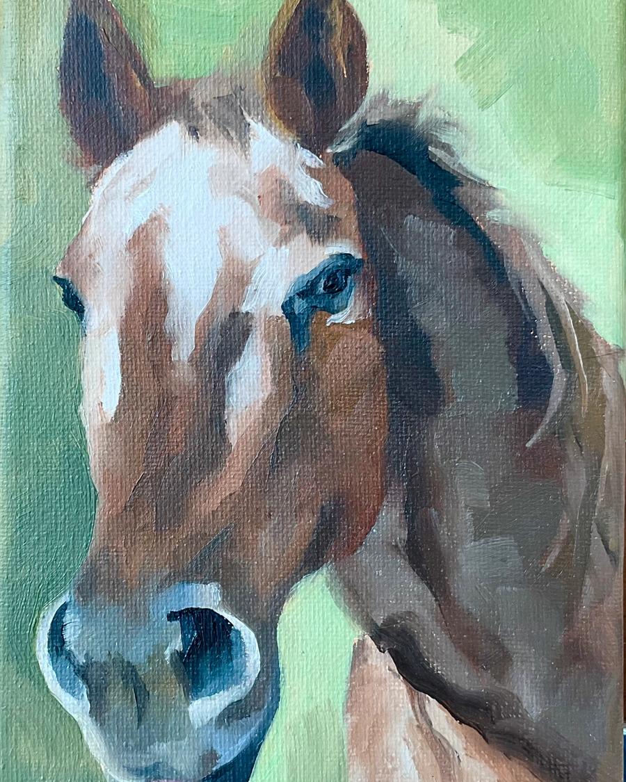 Horse