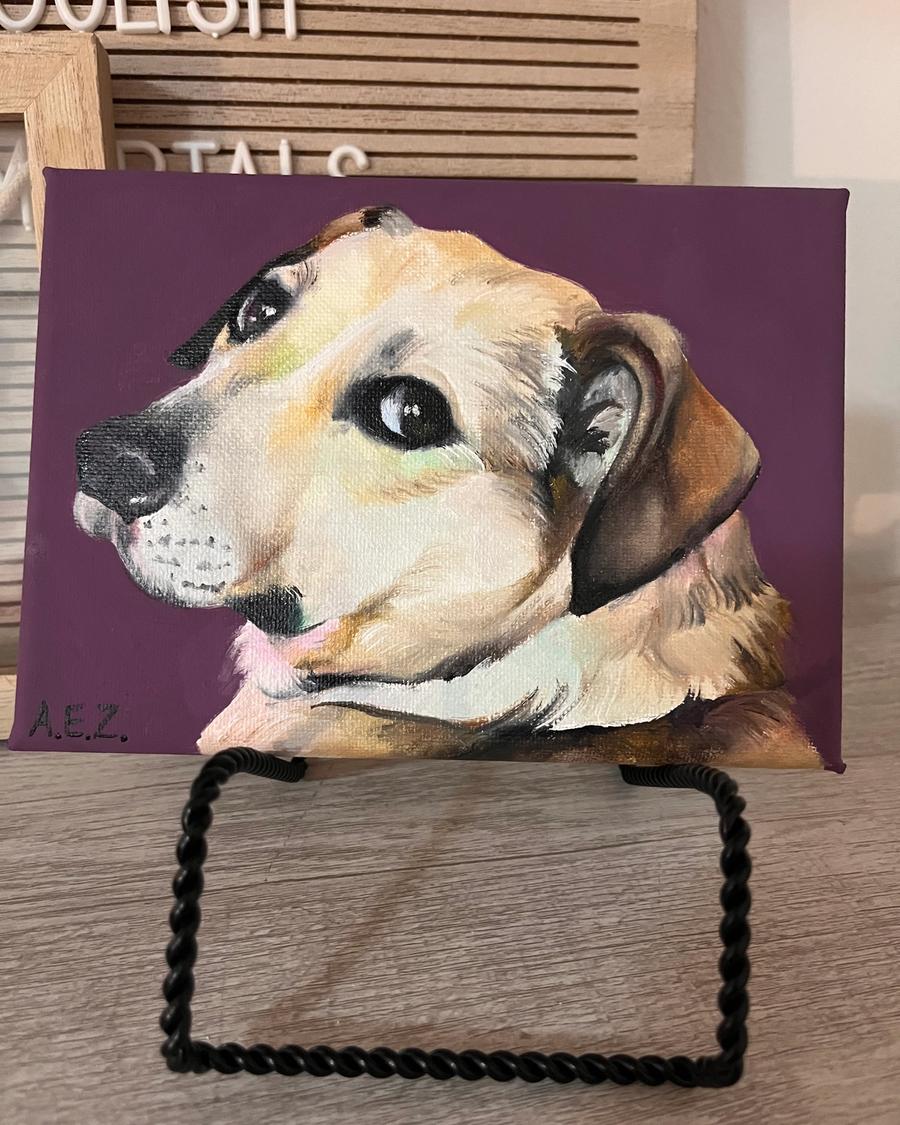 Dog