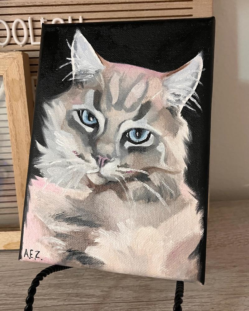 Kitty