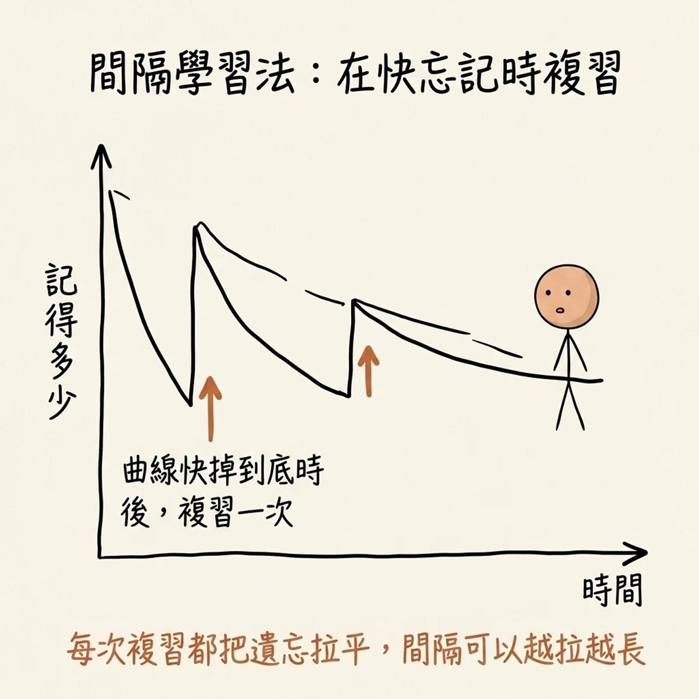 間隔學習法在快忘記時複習：遺忘曲線急速下滑，在快掉到底時複習一次把曲線拉回，每次複習都把遺忘拉平間隔可以越拉越長