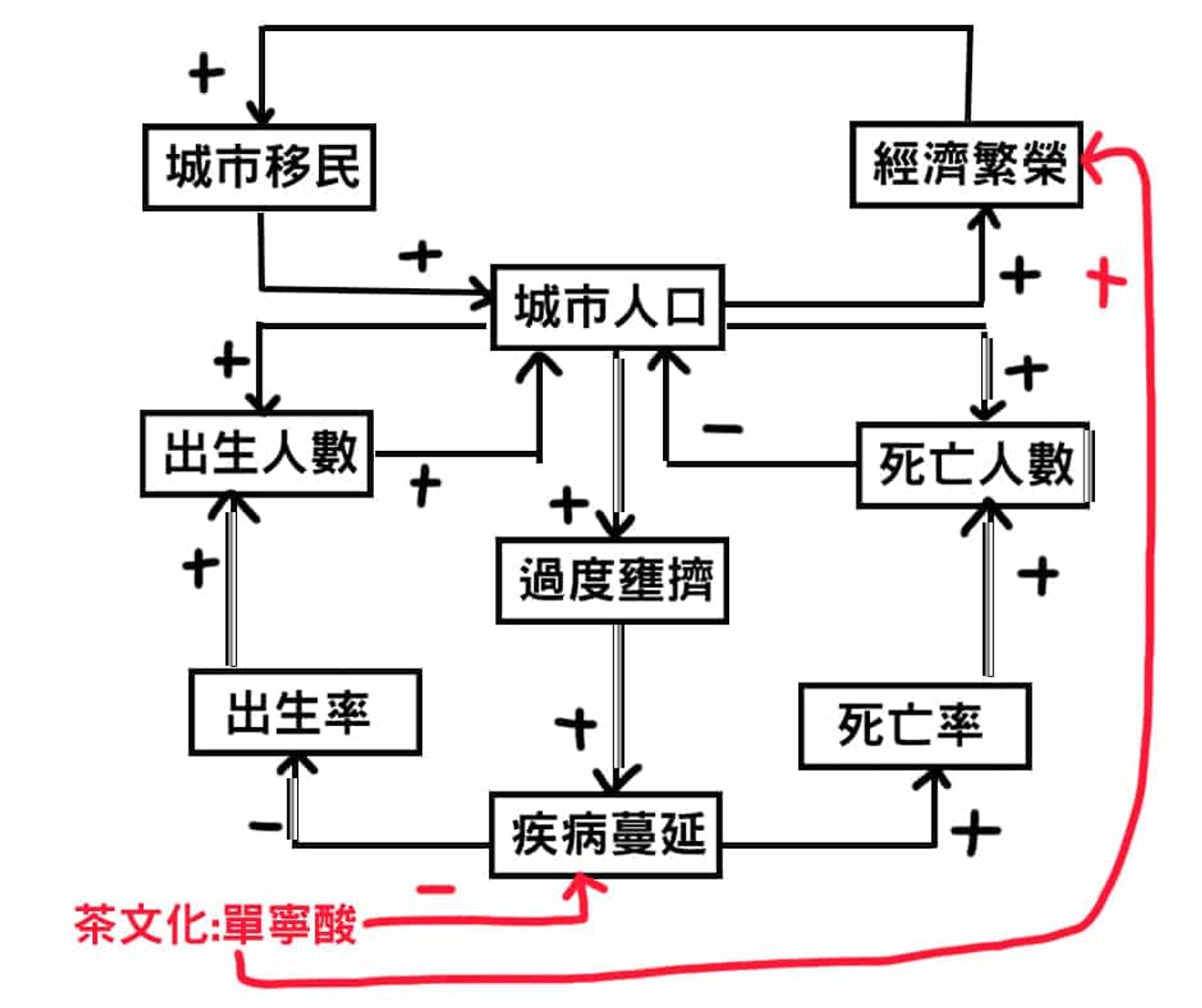 因果環圖第六步：茶文化（單寧酸）槓桿點