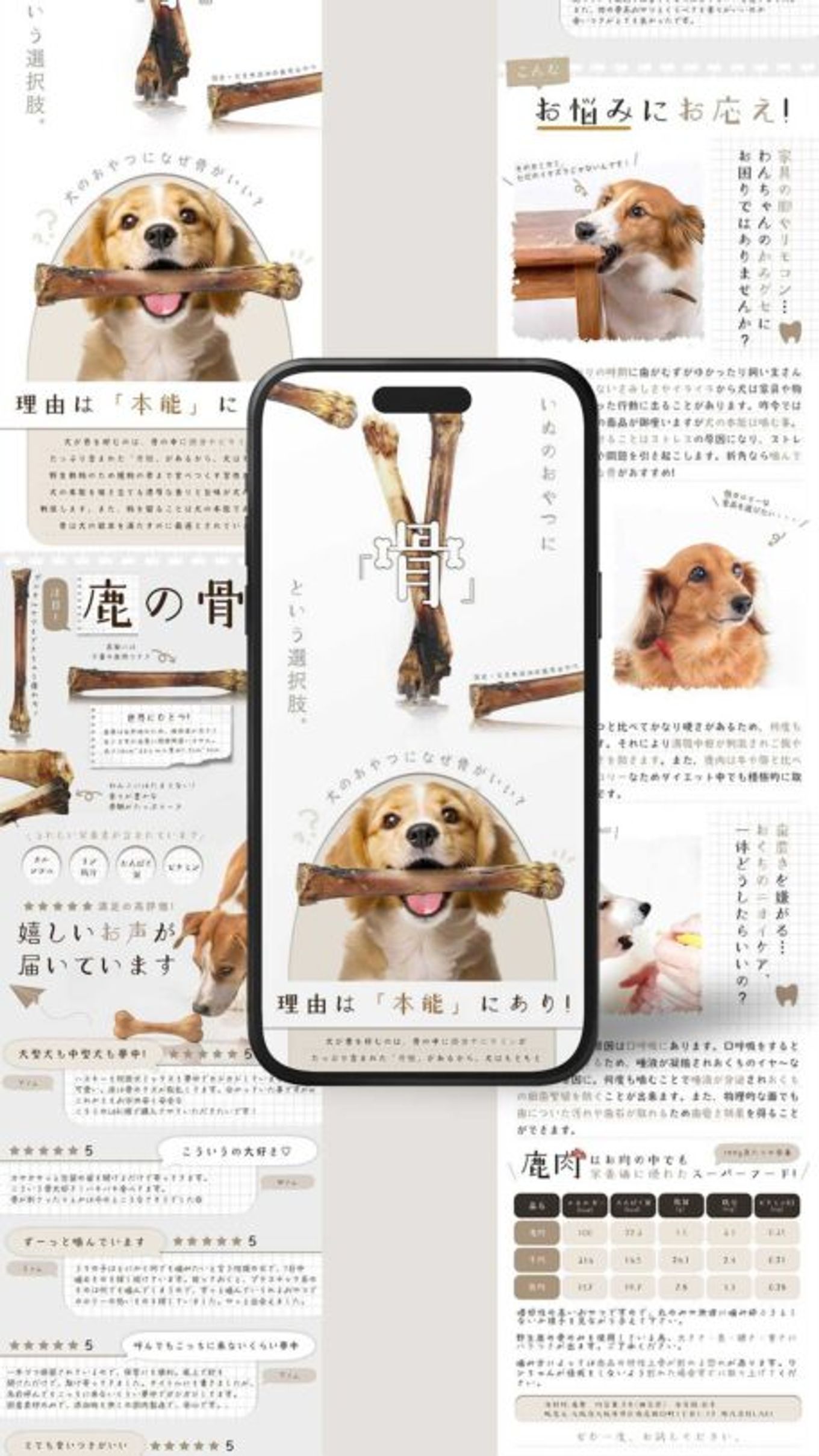 yu_0201_ya