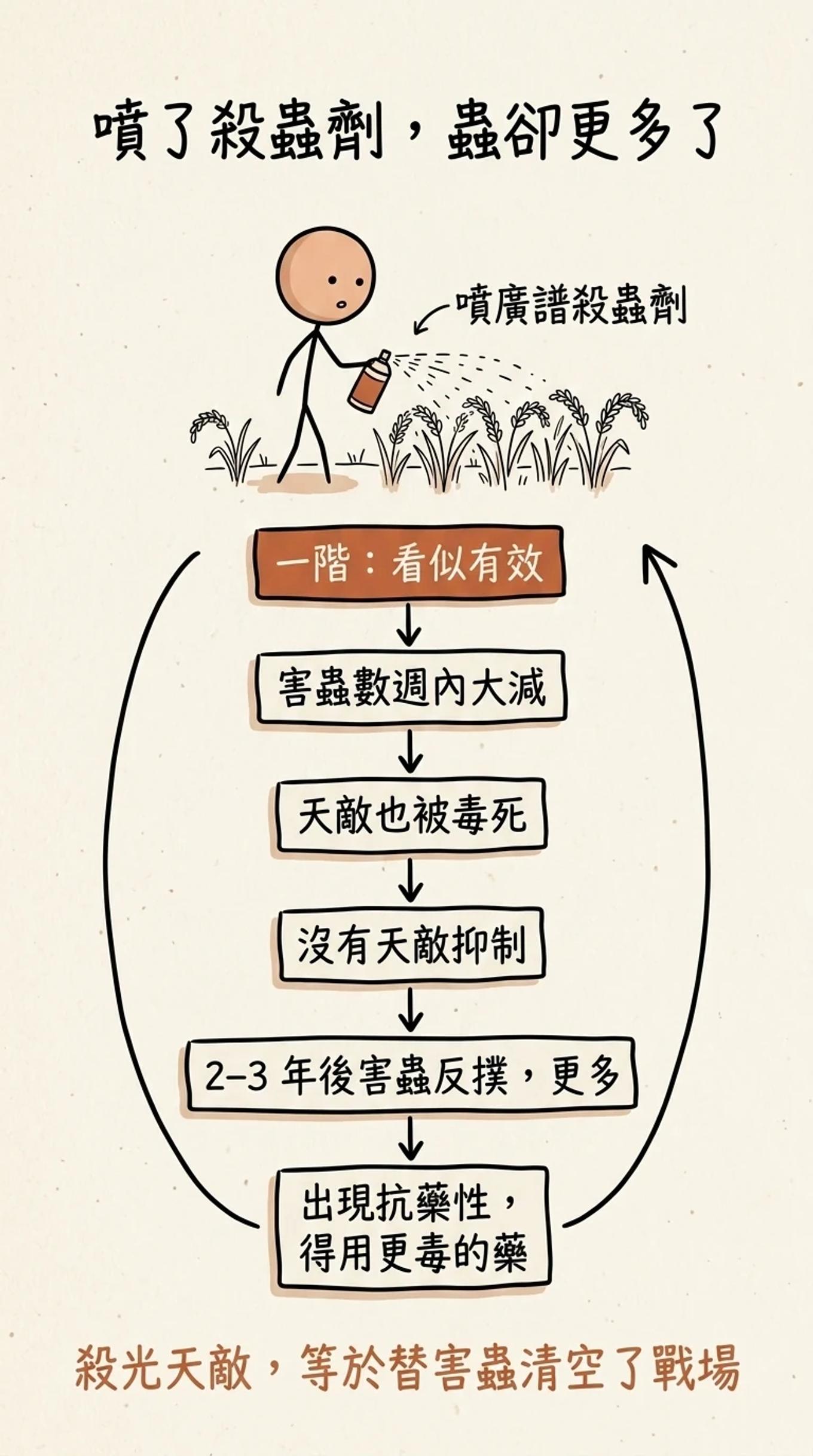 殺蟲劑的二階效應惡性循環：害蟲短期大減，但天敵也被毒死，幾年後害蟲反撲更多並出現抗藥性