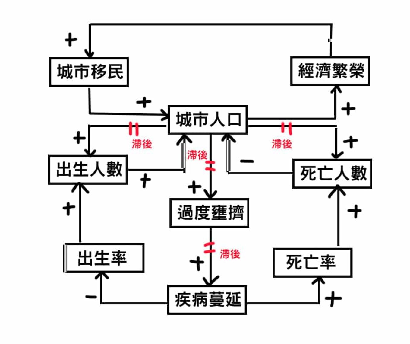 因果環圖第五步：滯後效應