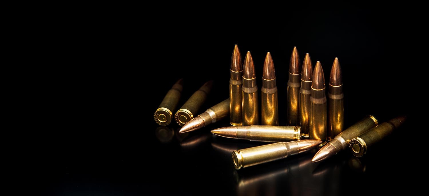 Cover image for Challenging the Gun Violence Epidemic