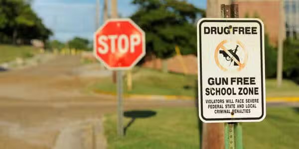 Drug Free / Gun Free School Zone Sign