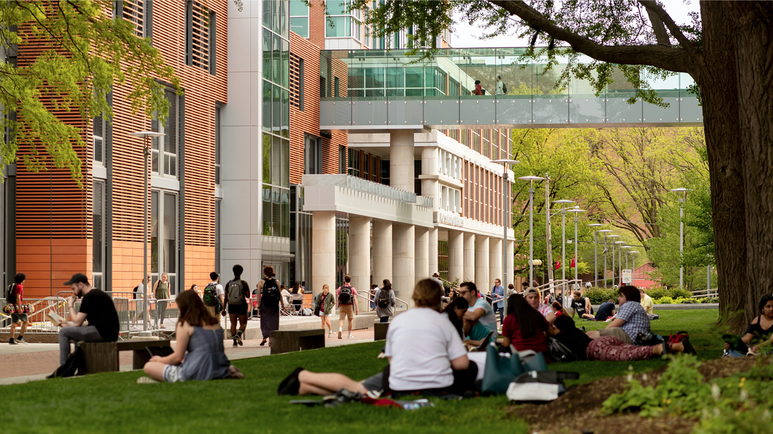 School campus aerial view — education security and insurance risk context