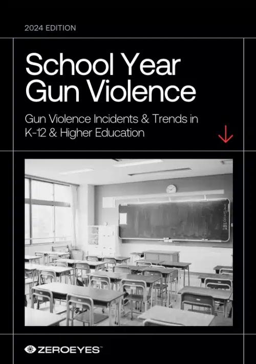 School Year Gun Violence 2024