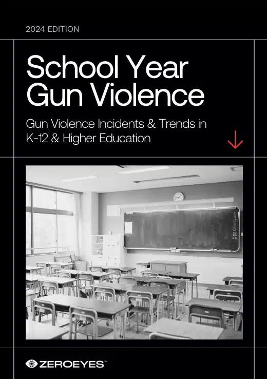 School Year Gun Violence 2024
