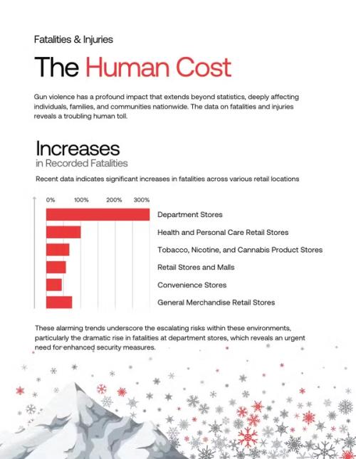 Holiday Shopping Report