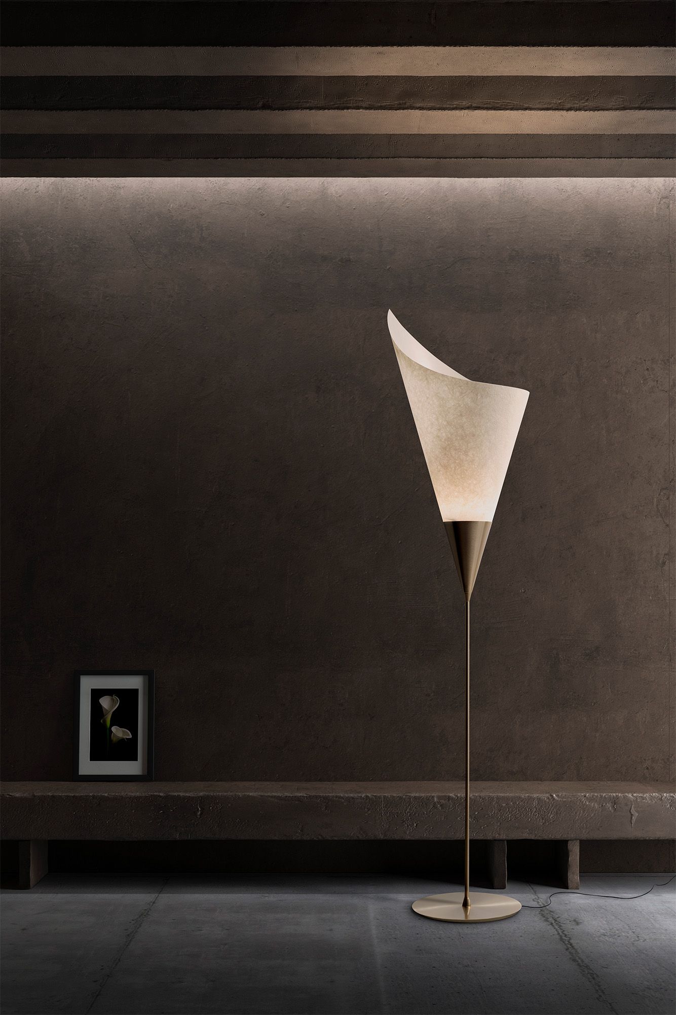 pallucco calla